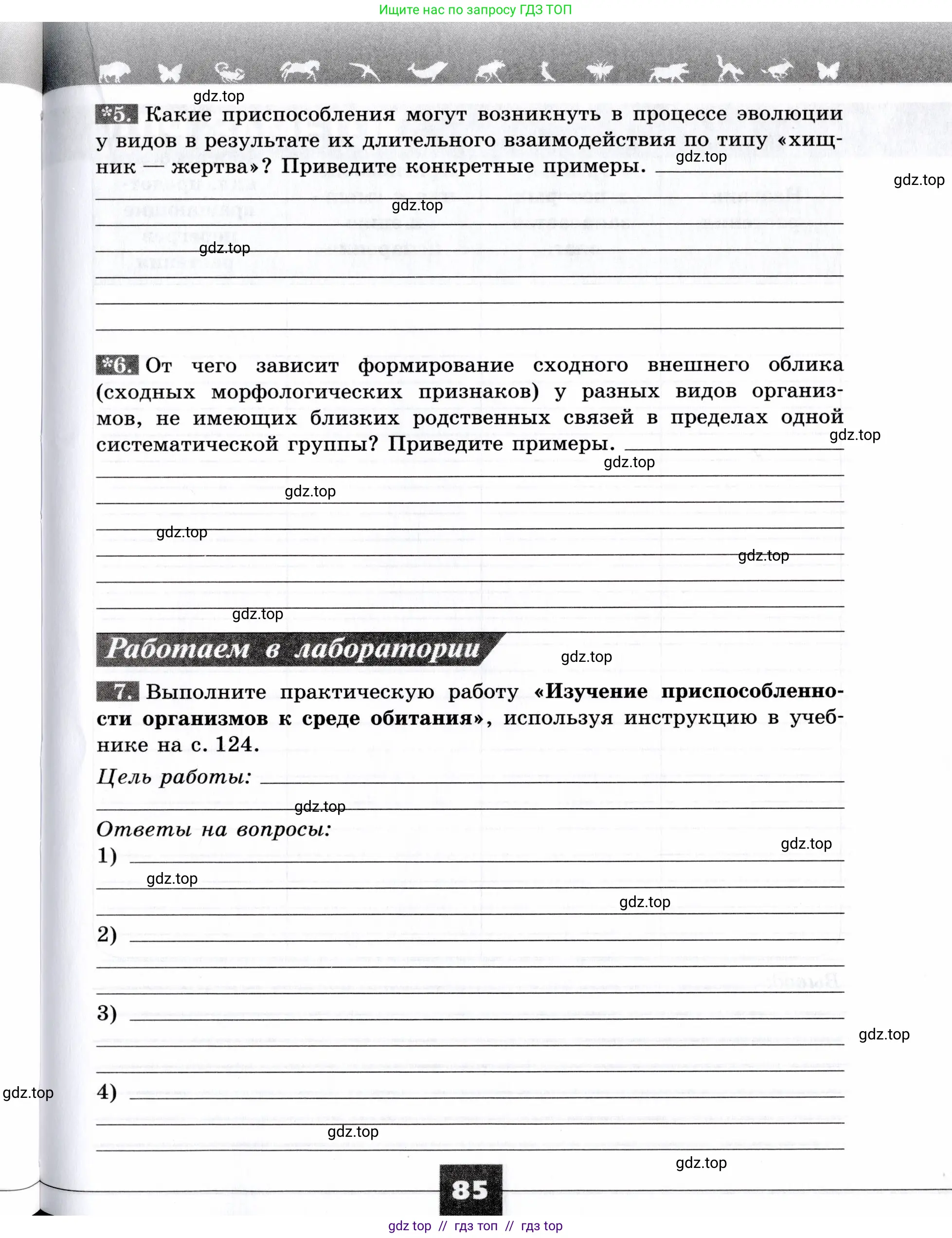 Биология, 9 класс рабочая тетрадь, авторы: Пасечник Владимир Васильевич, Швецов Глеб Геннадьевич, издательство Просвещение, Москва, 2019, страница 85