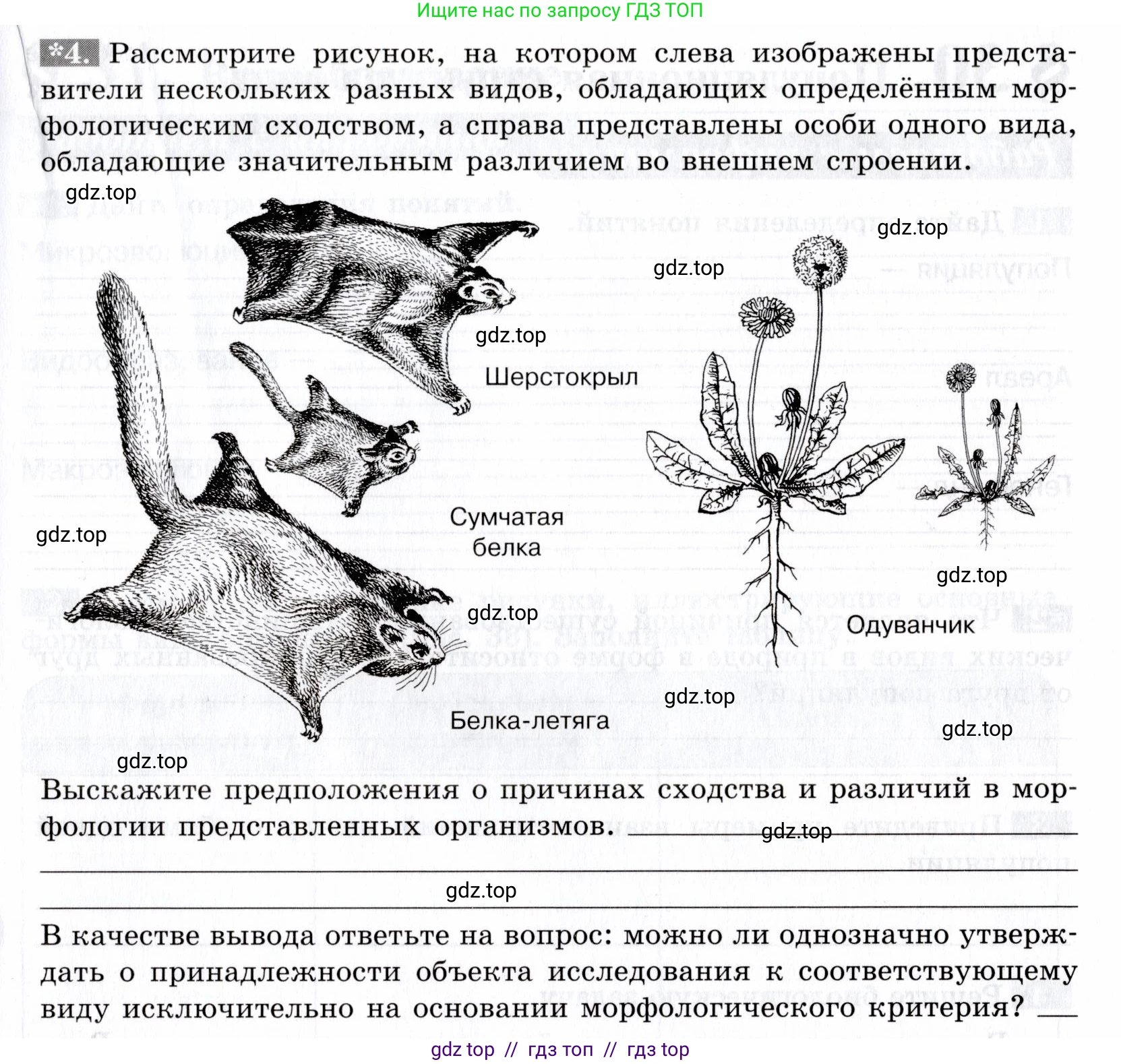 Биология, 9 класс рабочая тетрадь, авторы: Пасечник Владимир Васильевич, Швецов Глеб Геннадьевич, издательство Просвещение, Москва, 2019, страница 79, номер 4, Условие