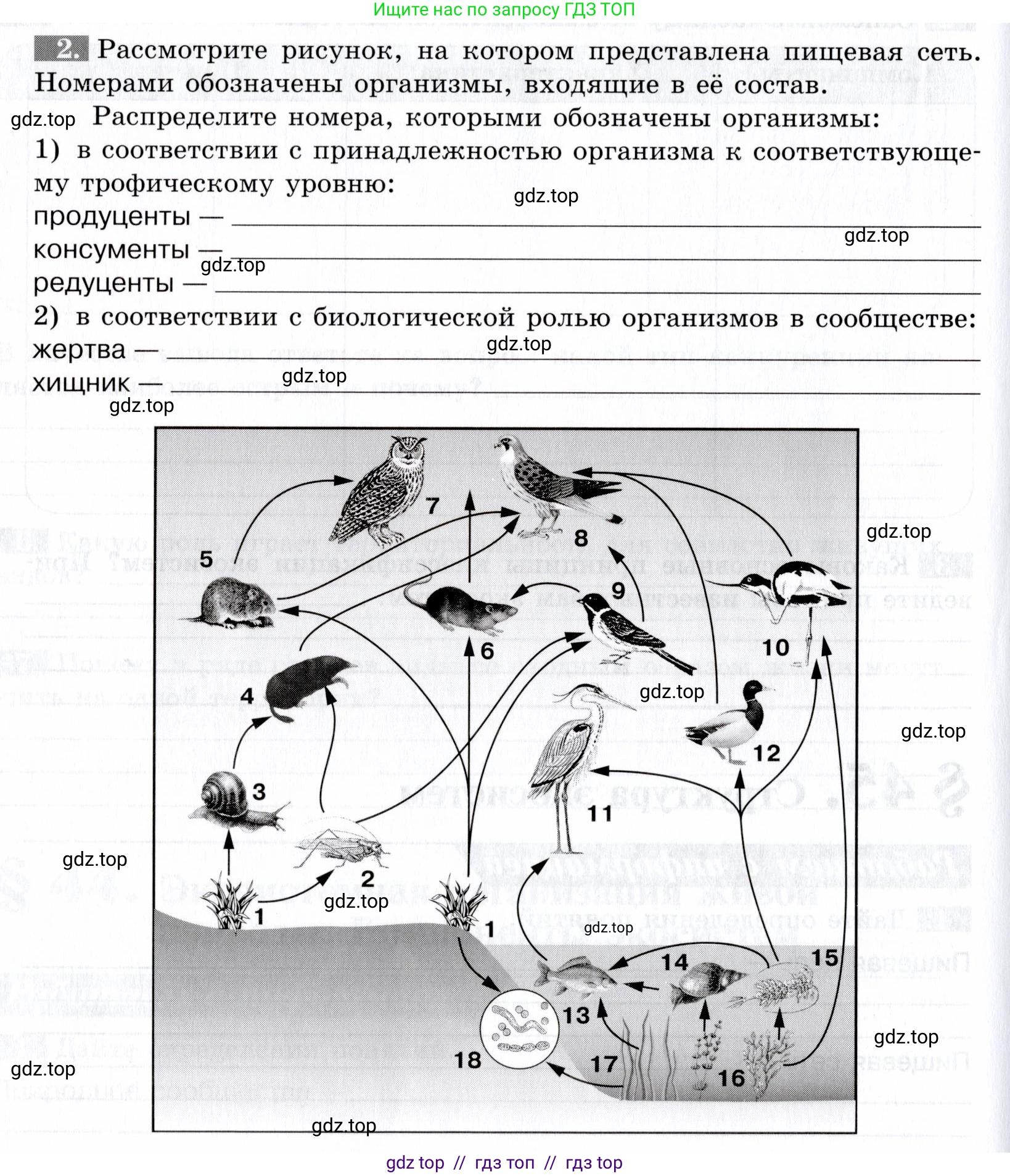 Биология, 9 класс рабочая тетрадь, авторы: Пасечник Владимир Васильевич, Швецов Глеб Геннадьевич, издательство Просвещение, Москва, 2019, страница 114, номер 2, Условие
