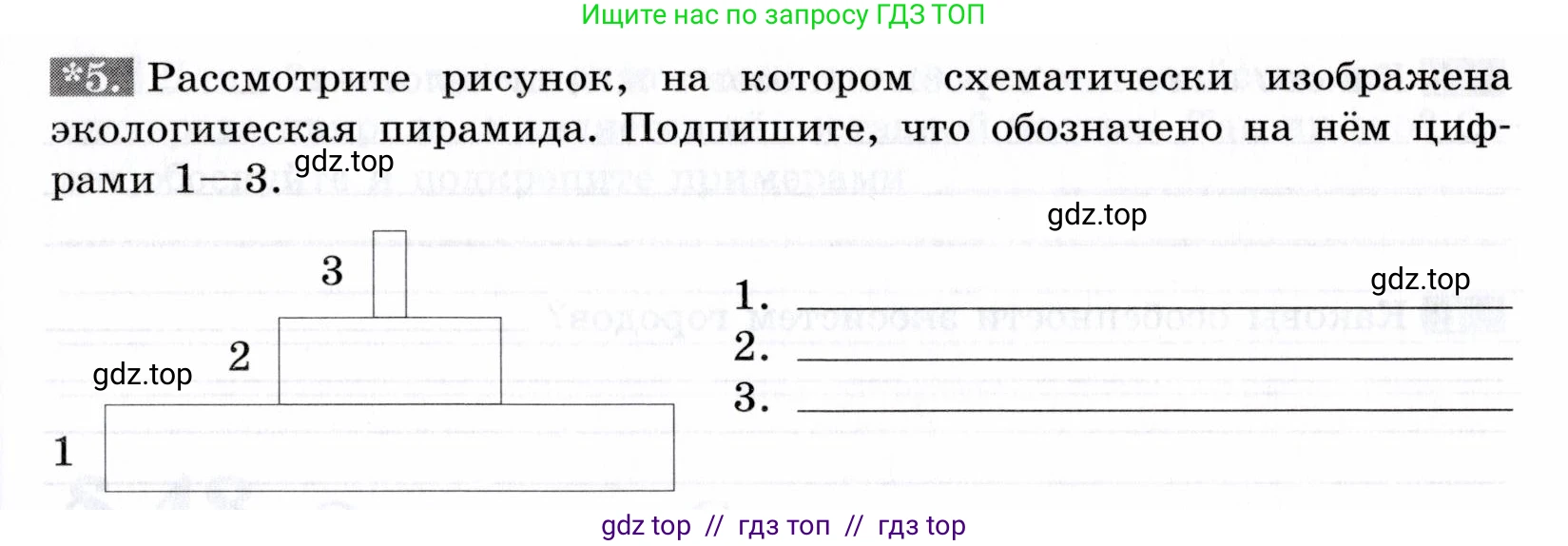 Биология, 9 класс рабочая тетрадь, авторы: Пасечник Владимир Васильевич, Швецов Глеб Геннадьевич, издательство Просвещение, Москва, 2019, страница 117, номер 5, Условие