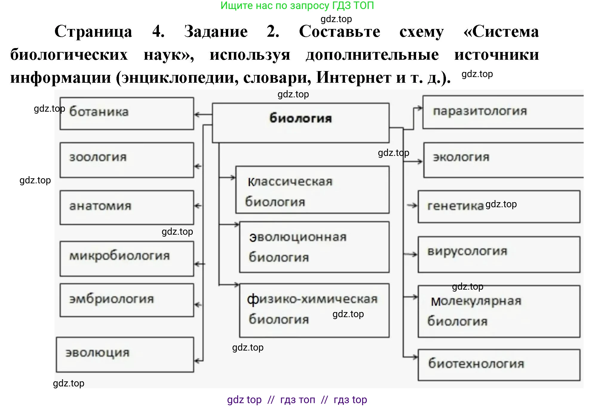 Биология, 9 класс рабочая тетрадь, авторы: Пасечник Владимир Васильевич, Швецов Глеб Геннадьевич, издательство Просвещение, Москва, 2019, страница 4, номер 2, Решение