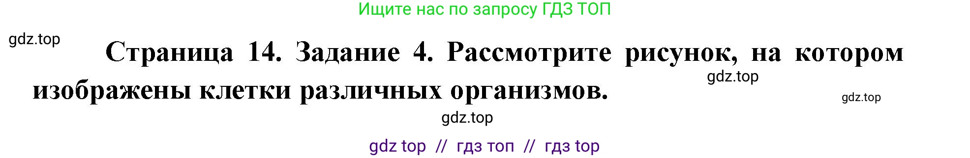 Биология, 9 класс рабочая тетрадь, авторы: Пасечник Владимир Васильевич, Швецов Глеб Геннадьевич, издательство Просвещение, Москва, 2019, страница 14, номер 4, Решение