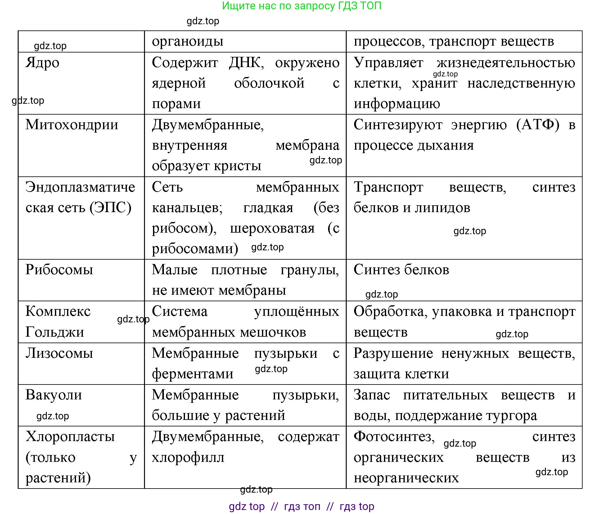 Биология, 9 класс рабочая тетрадь, авторы: Пасечник Владимир Васильевич, Швецов Глеб Геннадьевич, издательство Просвещение, Москва, 2019, страница 18, номер 4, Решение (продолжение 2)