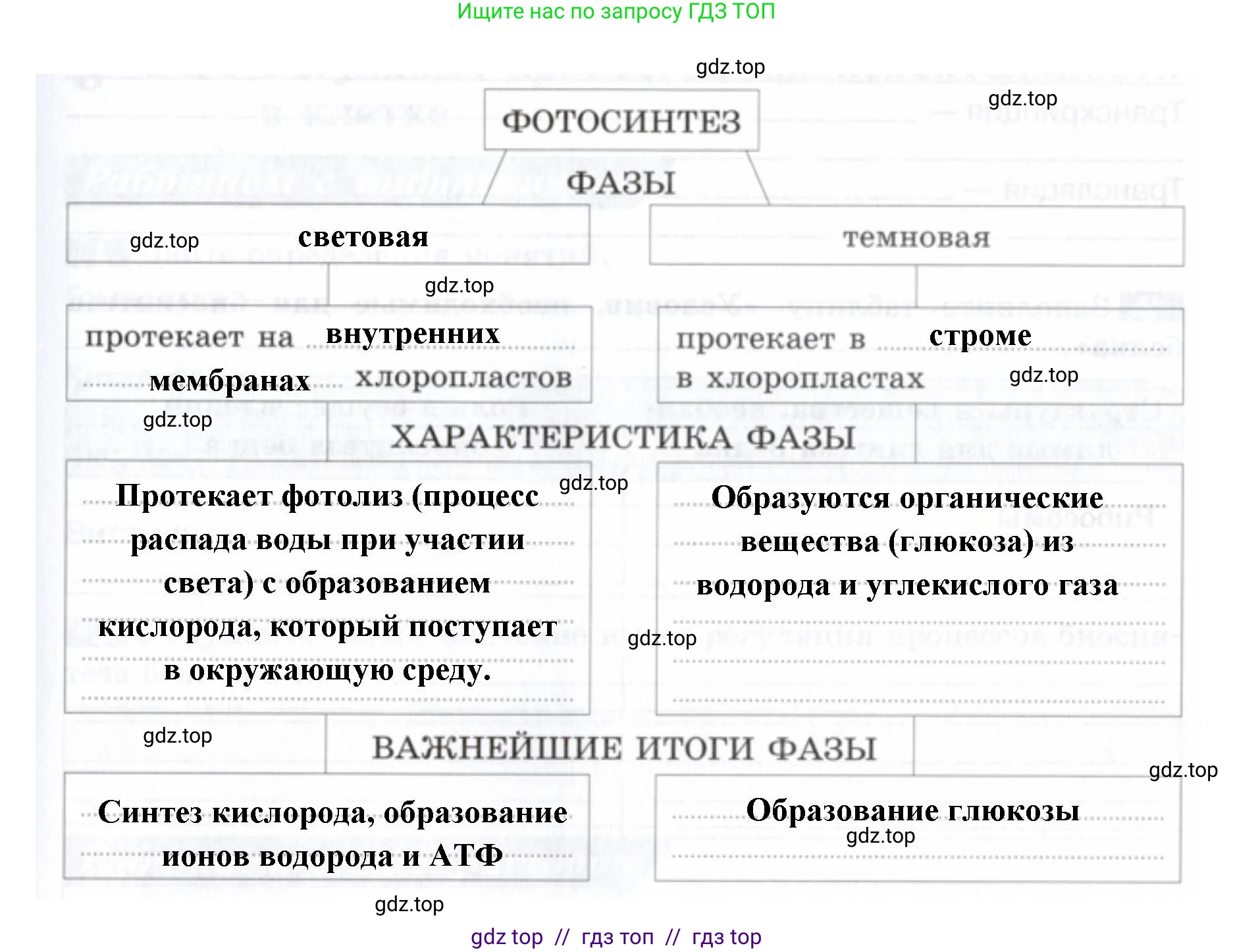 Биология, 9 класс рабочая тетрадь, авторы: Пасечник Владимир Васильевич, Швецов Глеб Геннадьевич, издательство Просвещение, Москва, 2019, страница 23, номер 6, Решение (продолжение 2)
