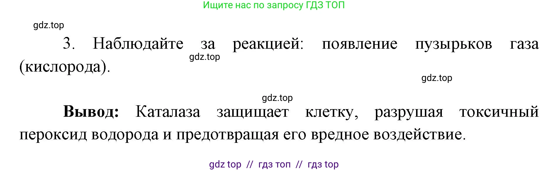 Биология, 9 класс рабочая тетрадь, авторы: Пасечник Владимир Васильевич, Швецов Глеб Геннадьевич, издательство Просвещение, Москва, 2019, страница 25, номер 3, Решение (продолжение 2)