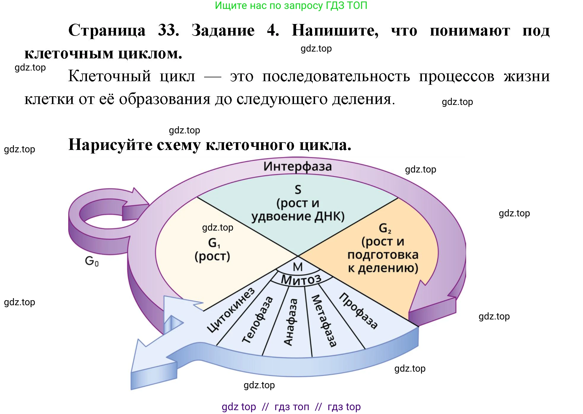 Биология, 9 класс рабочая тетрадь, авторы: Пасечник Владимир Васильевич, Швецов Глеб Геннадьевич, издательство Просвещение, Москва, 2019, страница 33, номер 4, Решение