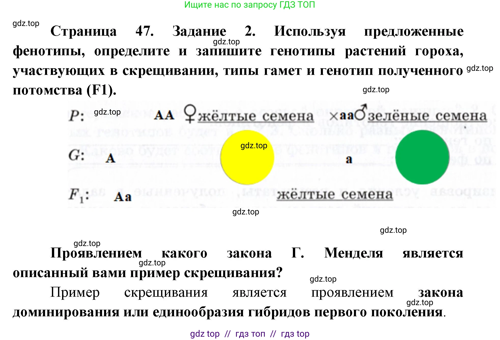 Биология, 9 класс рабочая тетрадь, авторы: Пасечник Владимир Васильевич, Швецов Глеб Геннадьевич, издательство Просвещение, Москва, 2019, страница 47, номер 2, Решение