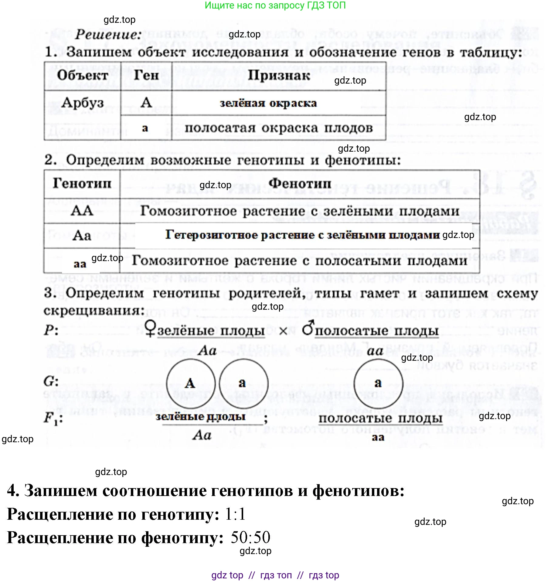 Биология, 9 класс рабочая тетрадь, авторы: Пасечник Владимир Васильевич, Швецов Глеб Геннадьевич, издательство Просвещение, Москва, 2019, страница 47, номер 3, Решение (продолжение 2)