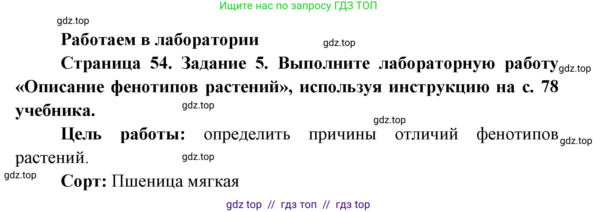Биология, 9 класс рабочая тетрадь, авторы: Пасечник Владимир Васильевич, Швецов Глеб Геннадьевич, издательство Просвещение, Москва, 2019, страница 54, номер 5, Решение