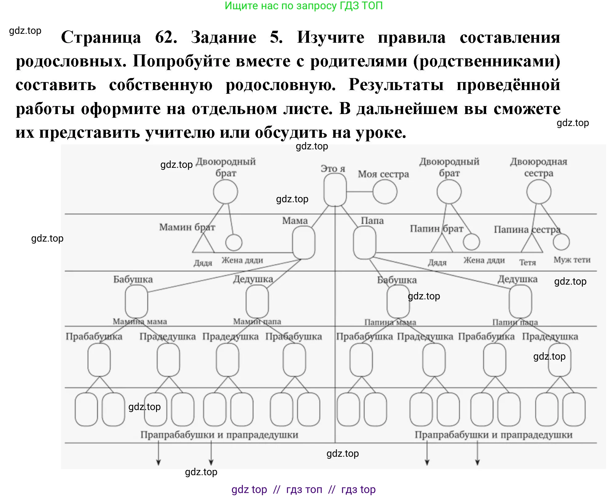 Биология, 9 класс рабочая тетрадь, авторы: Пасечник Владимир Васильевич, Швецов Глеб Геннадьевич, издательство Просвещение, Москва, 2019, страница 62, номер 5, Решение