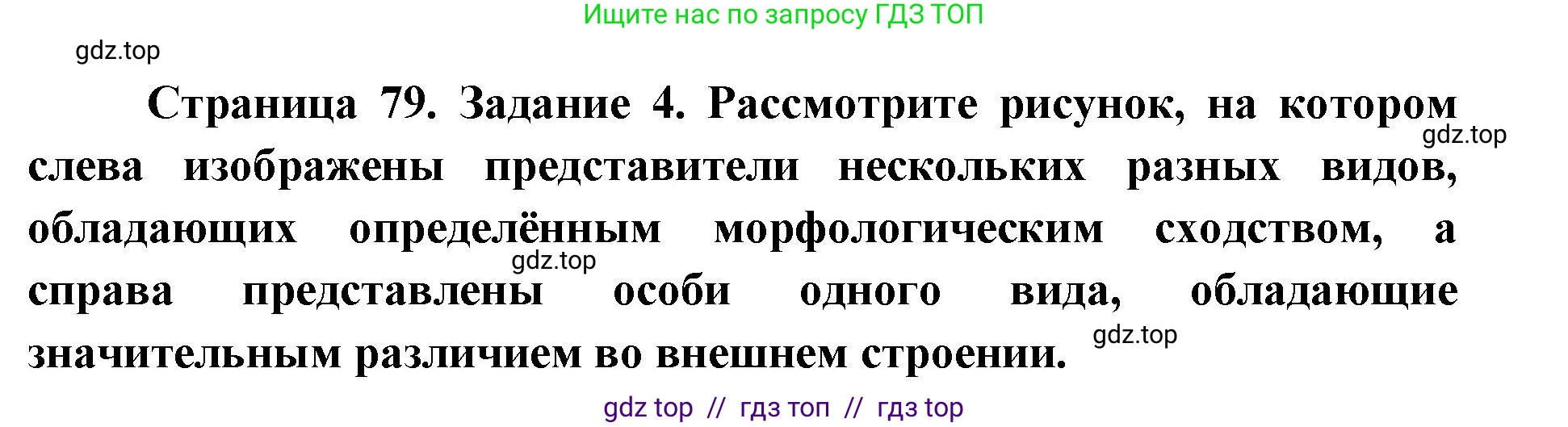 Биология, 9 класс рабочая тетрадь, авторы: Пасечник Владимир Васильевич, Швецов Глеб Геннадьевич, издательство Просвещение, Москва, 2019, страница 79, номер 4, Решение