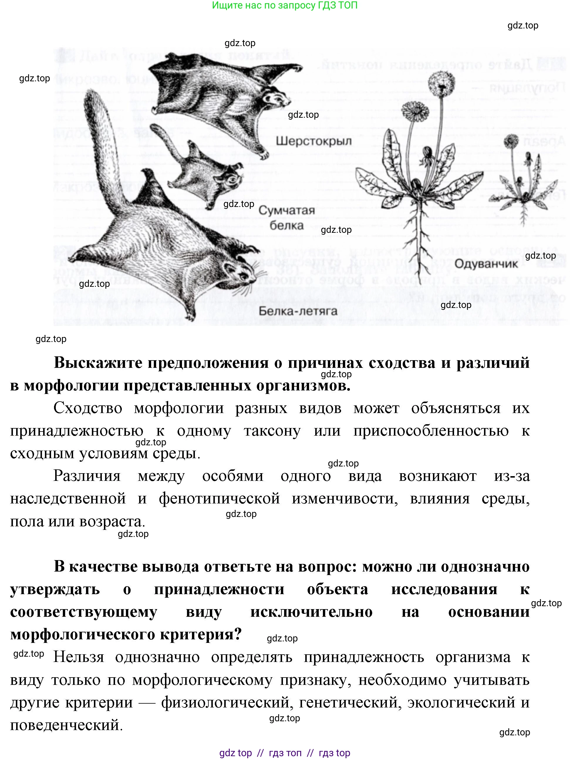 Биология, 9 класс рабочая тетрадь, авторы: Пасечник Владимир Васильевич, Швецов Глеб Геннадьевич, издательство Просвещение, Москва, 2019, страница 79, номер 4, Решение (продолжение 2)