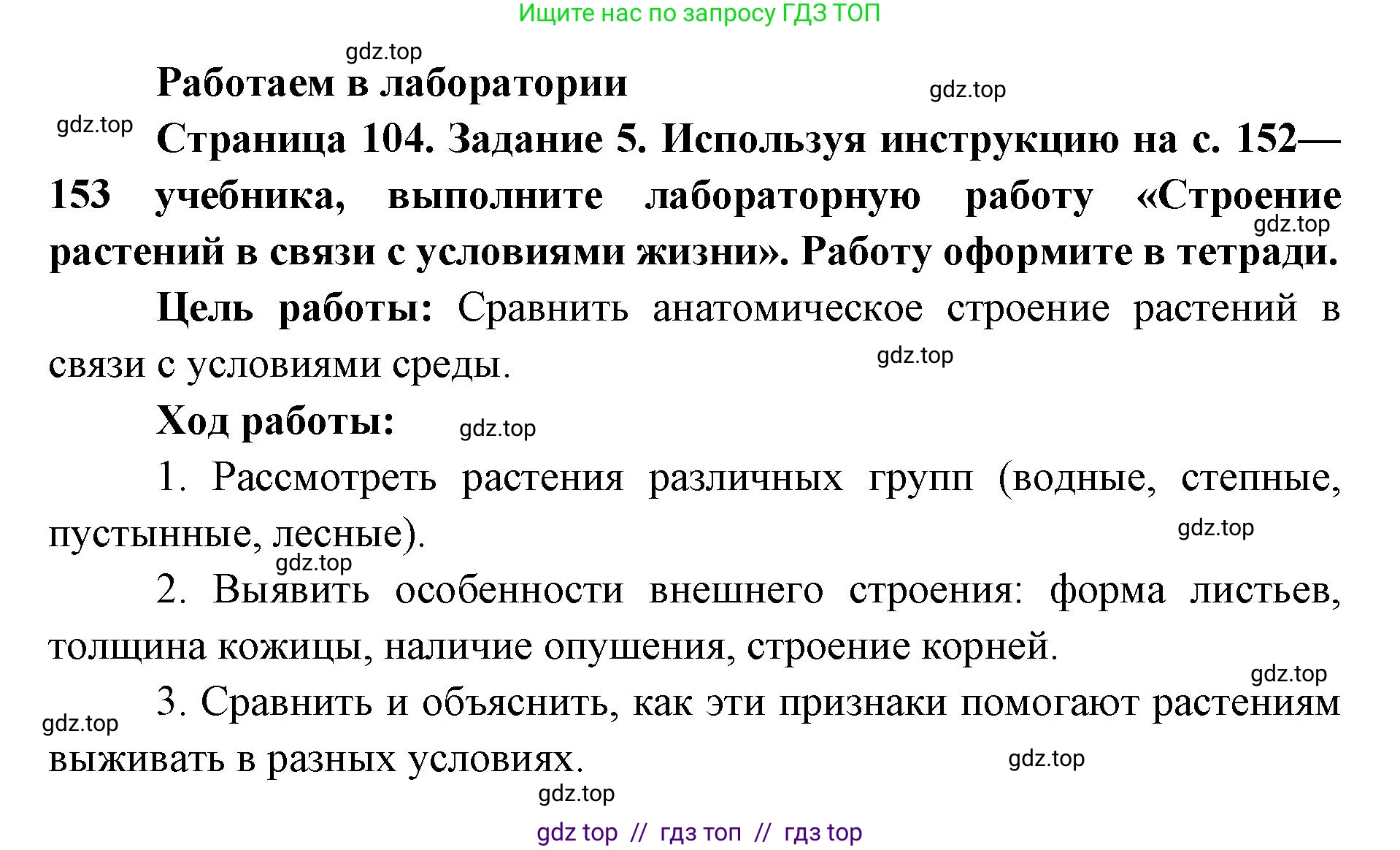 Биология, 9 класс рабочая тетрадь, авторы: Пасечник Владимир Васильевич, Швецов Глеб Геннадьевич, издательство Просвещение, Москва, 2019, страница 104, номер 5, Решение