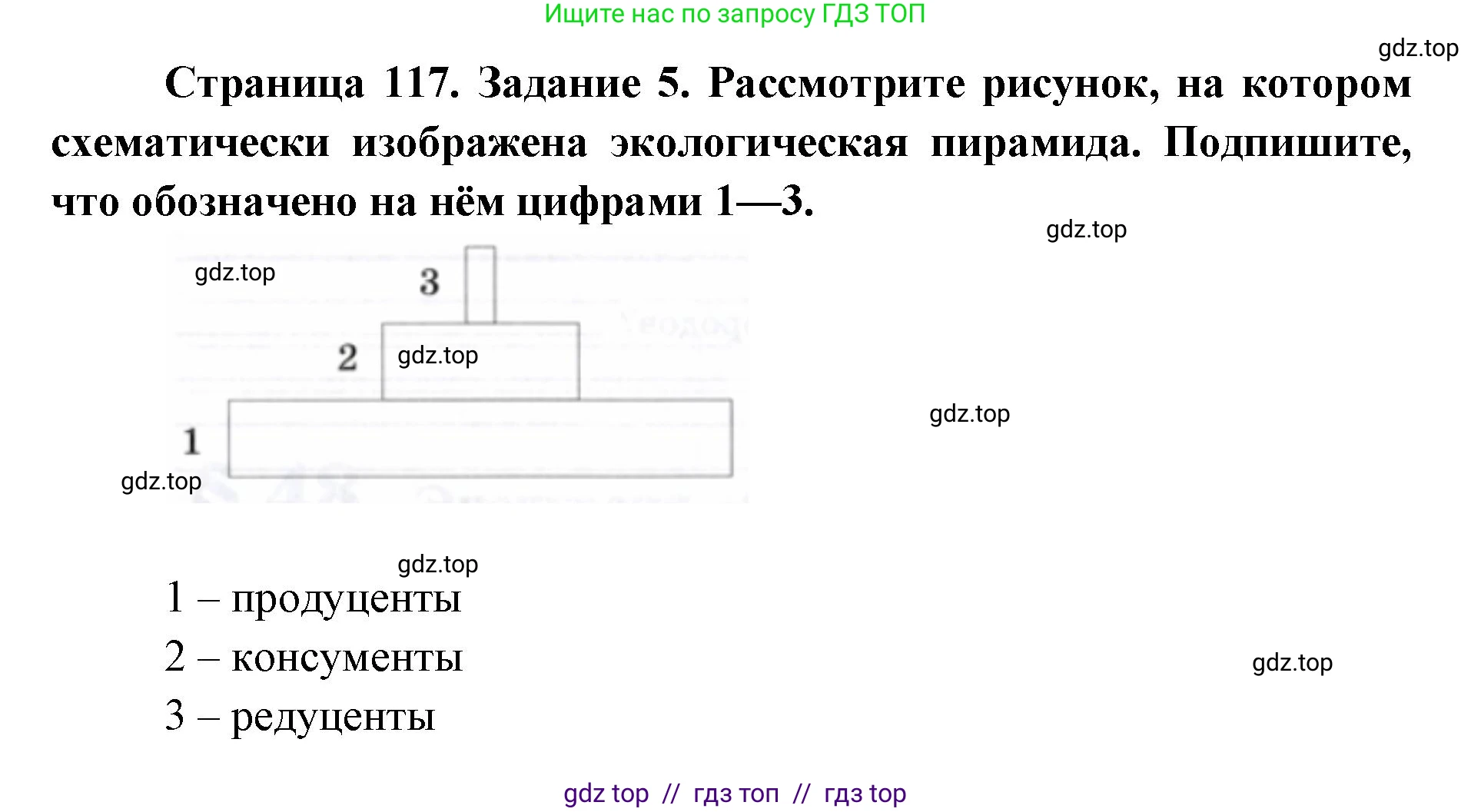 Биология, 9 класс рабочая тетрадь, авторы: Пасечник Владимир Васильевич, Швецов Глеб Геннадьевич, издательство Просвещение, Москва, 2019, страница 117, номер 5, Решение
