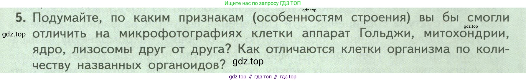 ГДЗ Биология, 9 класс Учебник, авторы: Пасечник Владимир Васильевич, Каменский Андрей Александрович, Швецов Глеб Геннадьевич, Гапонюк Зоя Георгиевна, издательство Просвещение, Москва, 2023, белого цвета, страница 31, номер 5, Условие