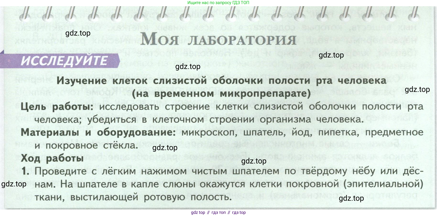 Биология, 9 класс Учебник, авторы: Пасечник Владимир Васильевич, Каменский Андрей Александрович, Швецов Глеб Геннадьевич, Гапонюк Зоя Георгиевна, издательство Просвещение, Москва, 2023, белого цвета, страница 31, Условие
