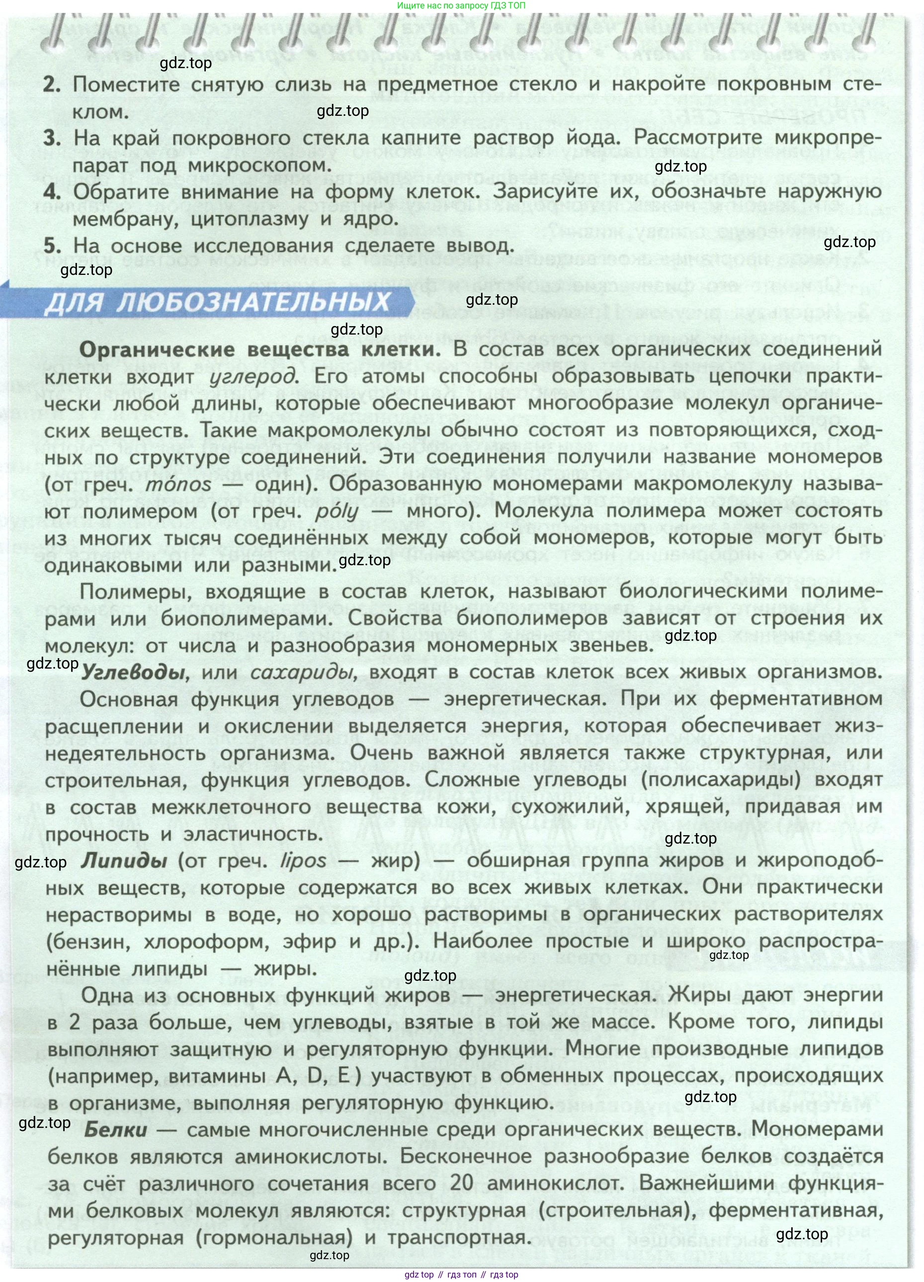 Биология, 9 класс Учебник, авторы: Пасечник Владимир Васильевич, Каменский Андрей Александрович, Швецов Глеб Геннадьевич, Гапонюк Зоя Георгиевна, издательство Просвещение, Москва, 2023, белого цвета, страница 31, Условие (продолжение 2)