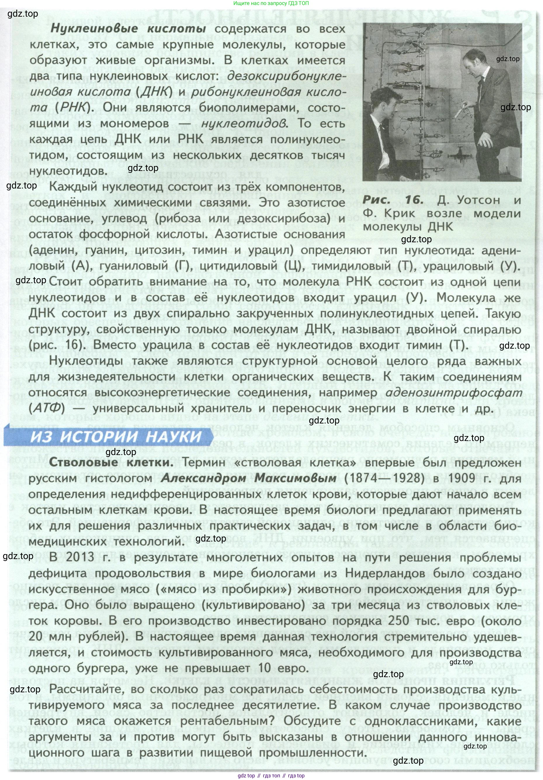 Биология, 9 класс Учебник, авторы: Пасечник Владимир Васильевич, Каменский Андрей Александрович, Швецов Глеб Геннадьевич, Гапонюк Зоя Георгиевна, издательство Просвещение, Москва, 2023, белого цвета, страница 31, Условие (продолжение 3)