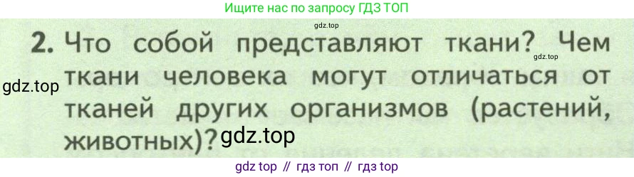 ГДЗ Биология, 9 класс Учебник, авторы: Пасечник Владимир Васильевич, Каменский Андрей Александрович, Швецов Глеб Геннадьевич, Гапонюк Зоя Георгиевна, издательство Просвещение, Москва, 2023, белого цвета, страница 38, номер 2, Условие