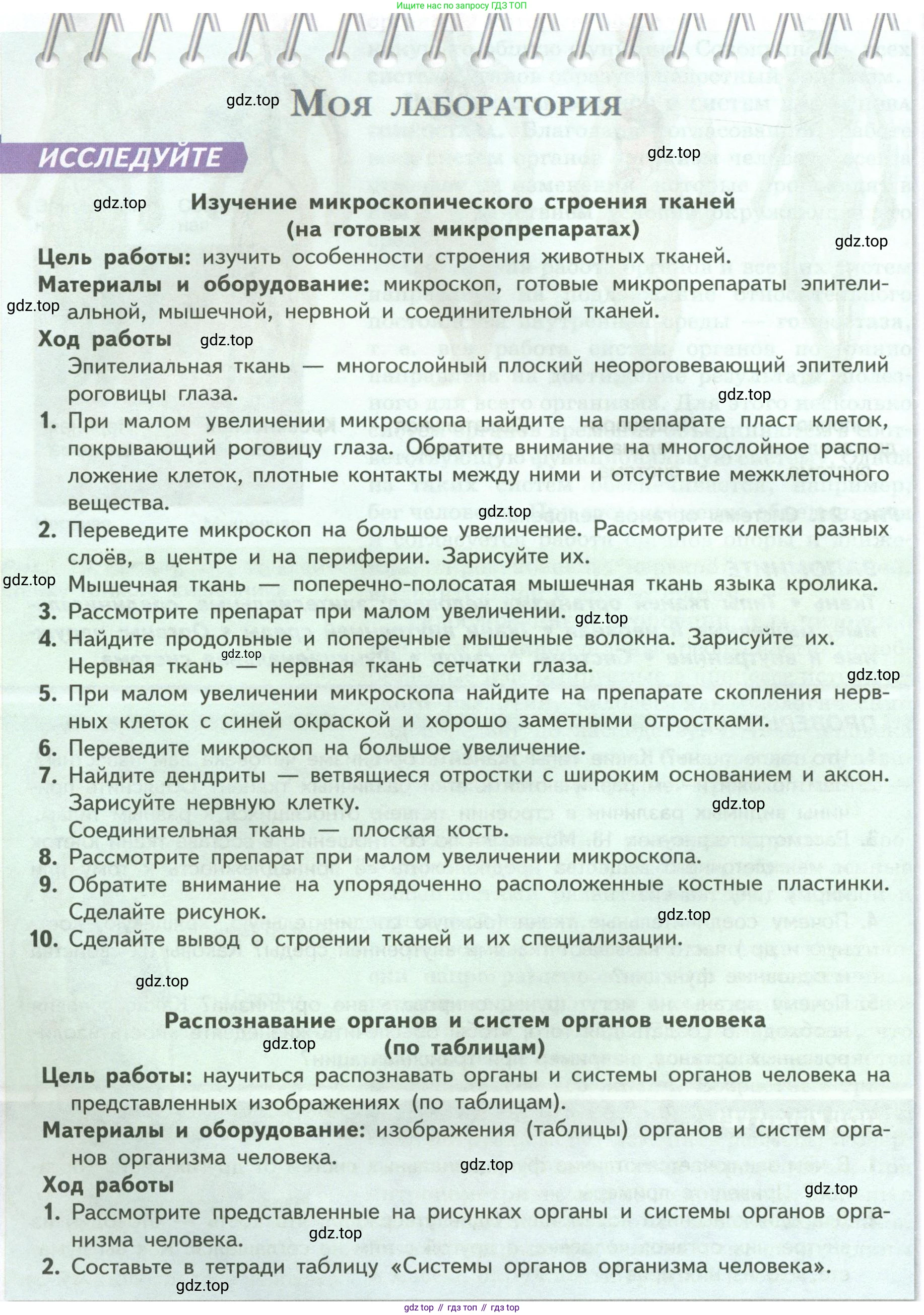 ГДЗ Биология, 9 класс Учебник, авторы: Пасечник Владимир Васильевич, Каменский Андрей Александрович, Швецов Глеб Геннадьевич, Гапонюк Зоя Георгиевна, издательство Просвещение, Москва, 2023, белого цвета, страница 42, Условие