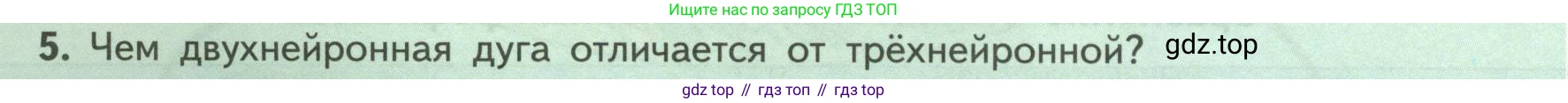 Биология, 9 класс Учебник, авторы: Пасечник Владимир Васильевич, Каменский Андрей Александрович, Швецов Глеб Геннадьевич, Гапонюк Зоя Георгиевна, издательство Просвещение, Москва, 2023, белого цвета, страница 48, номер 5, Условие