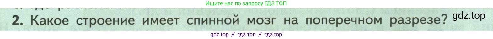 ГДЗ Биология, 9 класс Учебник, авторы: Пасечник Владимир Васильевич, Каменский Андрей Александрович, Швецов Глеб Геннадьевич, Гапонюк Зоя Георгиевна, издательство Просвещение, Москва, 2023, белого цвета, страница 53, номер 2, Условие