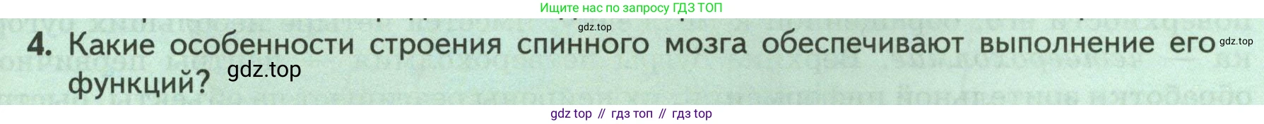 ГДЗ Биология, 9 класс Учебник, авторы: Пасечник Владимир Васильевич, Каменский Андрей Александрович, Швецов Глеб Геннадьевич, Гапонюк Зоя Георгиевна, издательство Просвещение, Москва, 2023, белого цвета, страница 53, номер 4, Условие