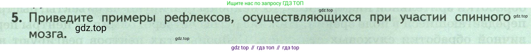 Биология, 9 класс Учебник, авторы: Пасечник Владимир Васильевич, Каменский Андрей Александрович, Швецов Глеб Геннадьевич, Гапонюк Зоя Георгиевна, издательство Просвещение, Москва, 2023, белого цвета, страница 53, номер 5, Условие