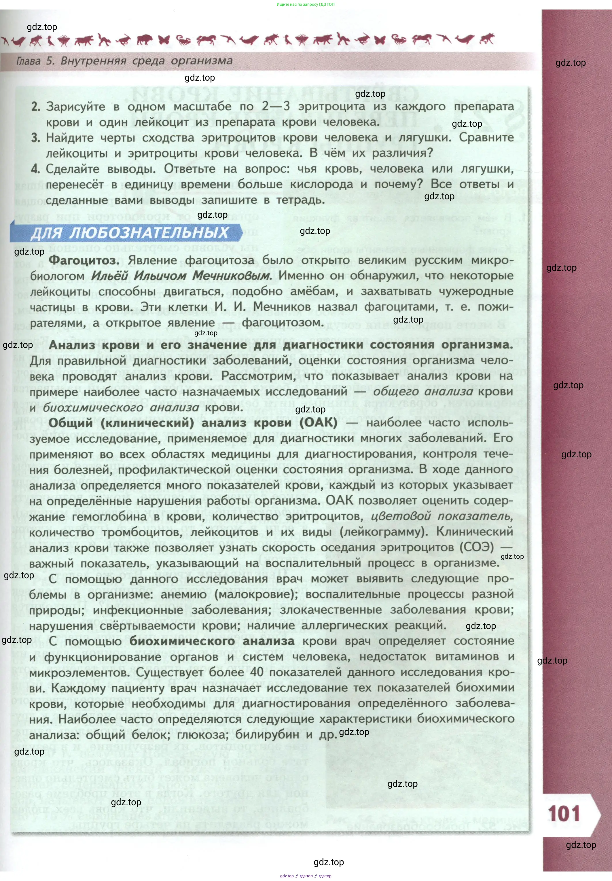 Биология, 9 класс Учебник, авторы: Пасечник Владимир Васильевич, Каменский Андрей Александрович, Швецов Глеб Геннадьевич, Гапонюк Зоя Георгиевна, издательство Просвещение, Москва, 2023, белого цвета, страница 101