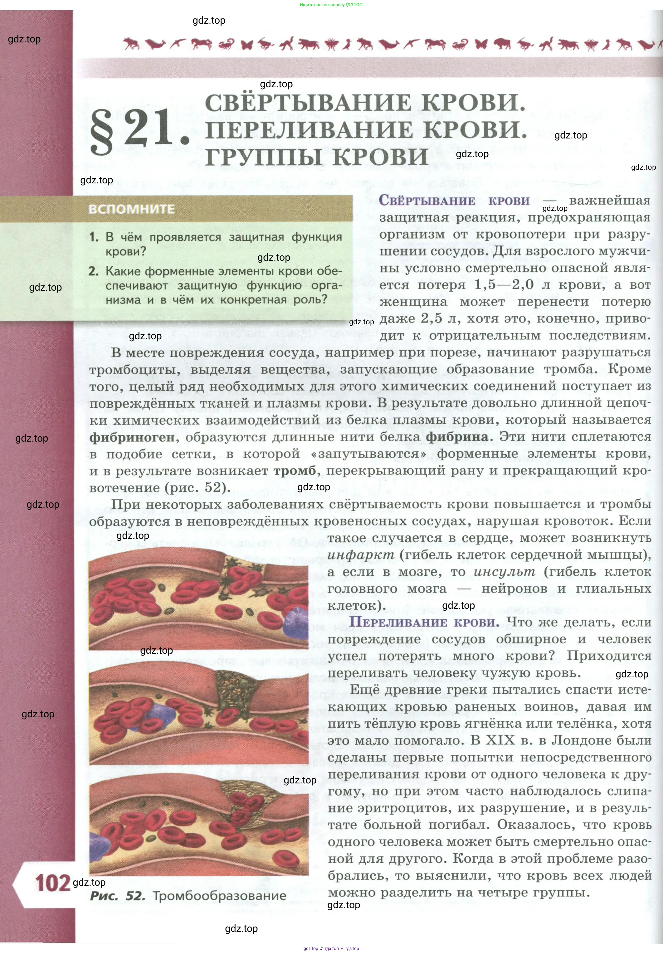Биология, 9 класс Учебник, авторы: Пасечник Владимир Васильевич, Каменский Андрей Александрович, Швецов Глеб Геннадьевич, Гапонюк Зоя Георгиевна, издательство Просвещение, Москва, 2023, белого цвета, страница 102