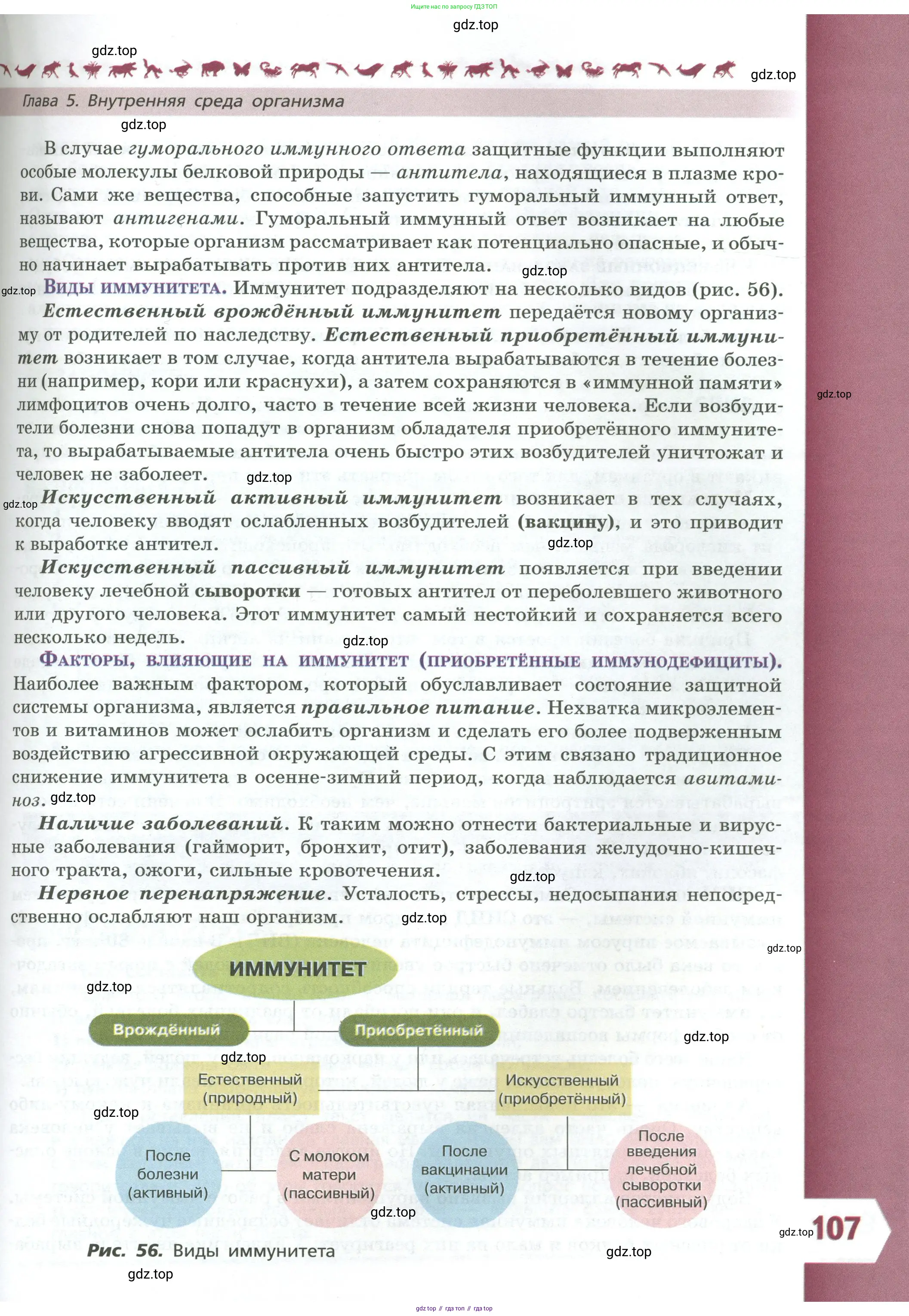 Биология, 9 класс Учебник, авторы: Пасечник Владимир Васильевич, Каменский Андрей Александрович, Швецов Глеб Геннадьевич, Гапонюк Зоя Георгиевна, издательство Просвещение, Москва, 2023, белого цвета, страница 107