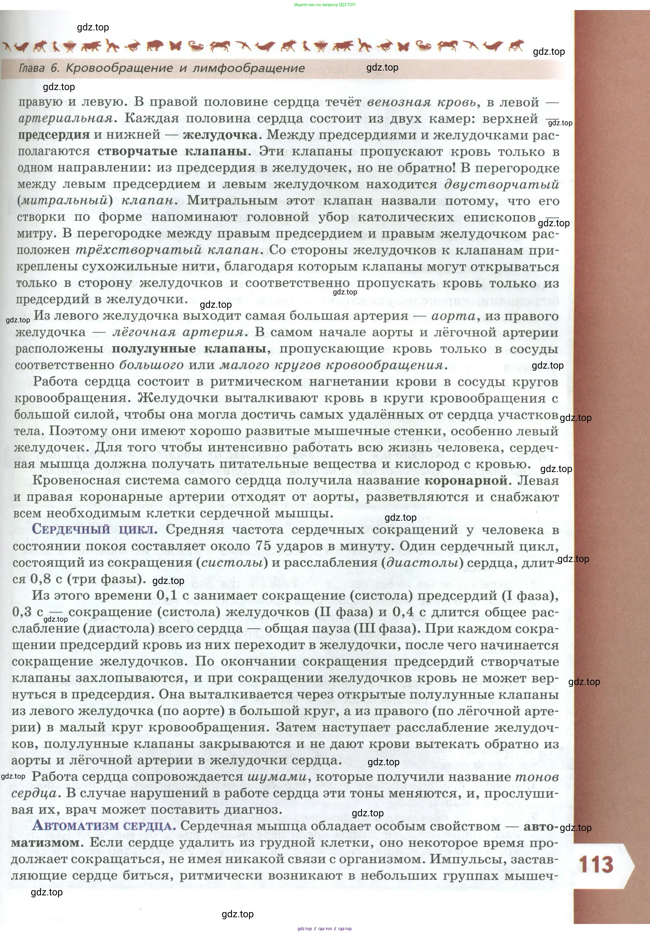 Биология, 9 класс Учебник, авторы: Пасечник Владимир Васильевич, Каменский Андрей Александрович, Швецов Глеб Геннадьевич, Гапонюк Зоя Георгиевна, издательство Просвещение, Москва, 2023, белого цвета, страница 113