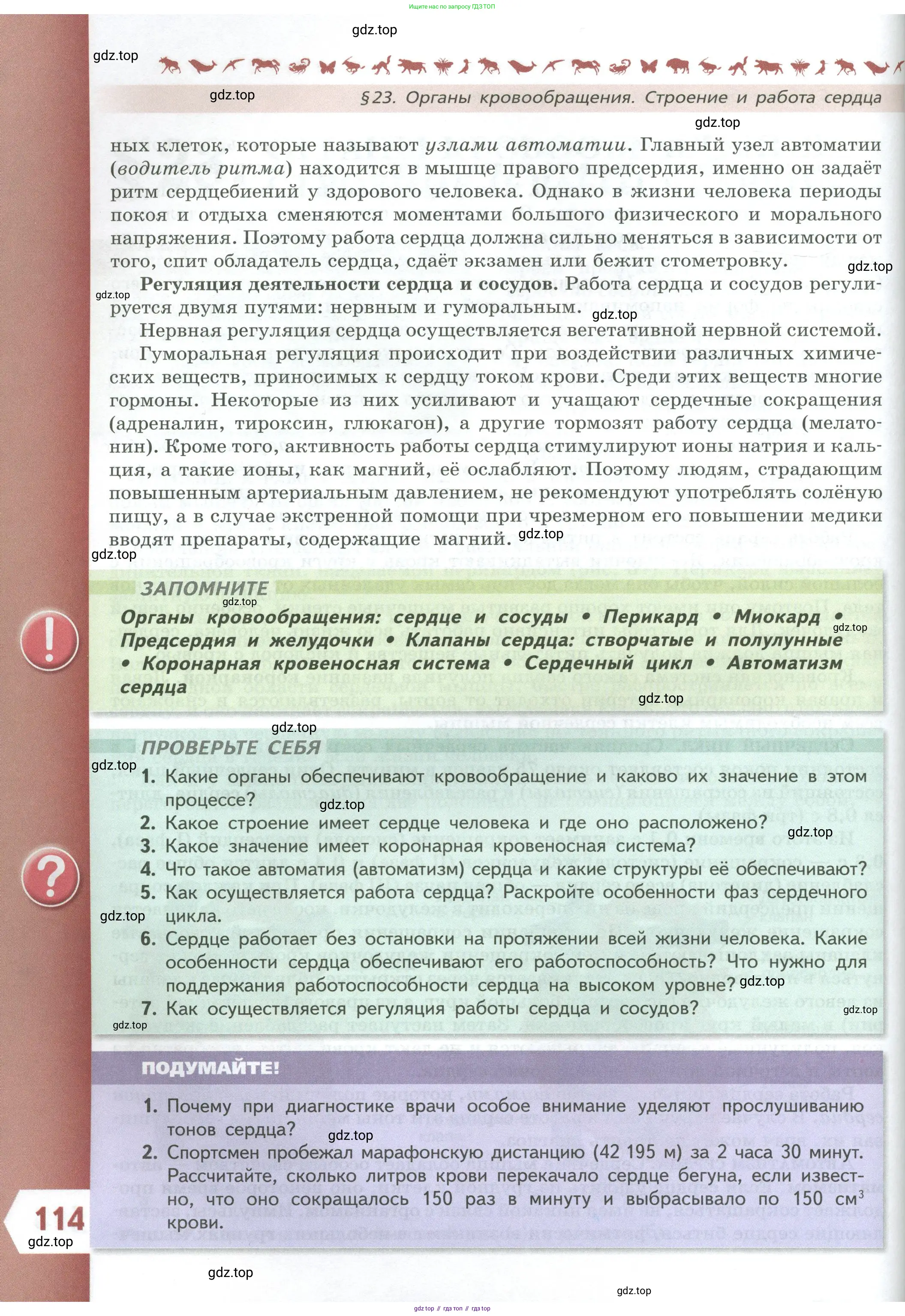 Биология, 9 класс Учебник, авторы: Пасечник Владимир Васильевич, Каменский Андрей Александрович, Швецов Глеб Геннадьевич, Гапонюк Зоя Георгиевна, издательство Просвещение, Москва, 2023, белого цвета, страница 114