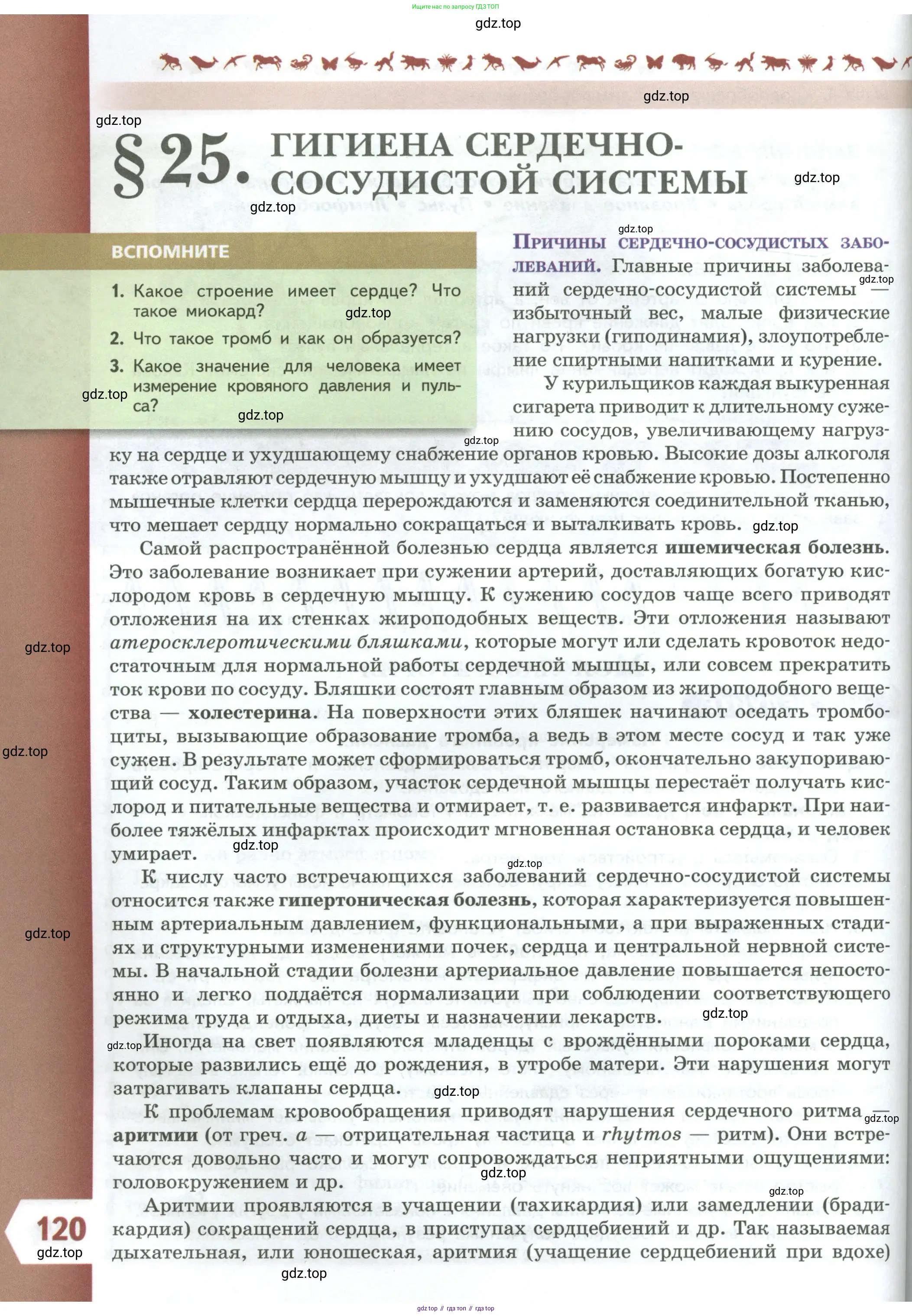 Биология, 9 класс Учебник, авторы: Пасечник Владимир Васильевич, Каменский Андрей Александрович, Швецов Глеб Геннадьевич, Гапонюк Зоя Георгиевна, издательство Просвещение, Москва, 2023, белого цвета, страница 120
