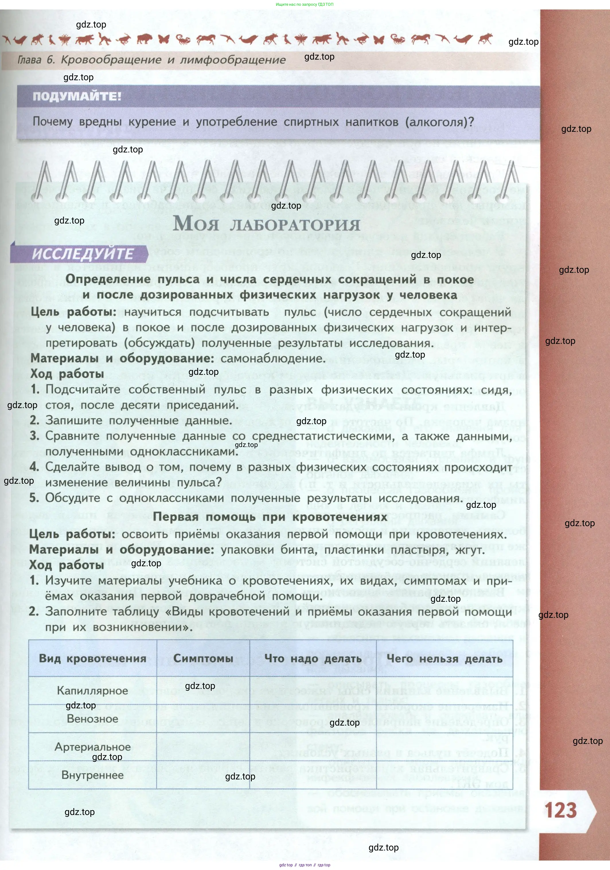 Биология, 9 класс Учебник, авторы: Пасечник Владимир Васильевич, Каменский Андрей Александрович, Швецов Глеб Геннадьевич, Гапонюк Зоя Георгиевна, издательство Просвещение, Москва, 2023, белого цвета, страница 123