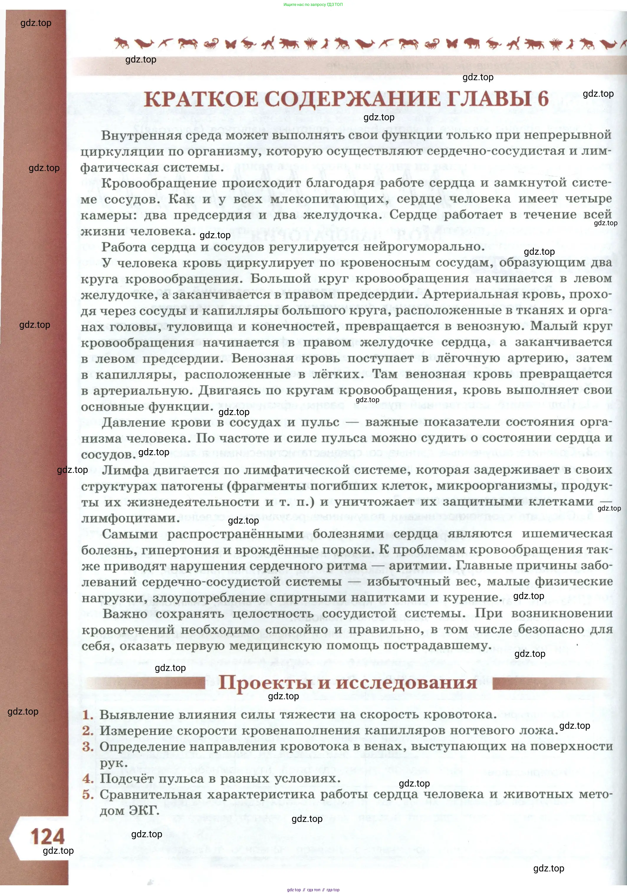 Биология, 9 класс Учебник, авторы: Пасечник Владимир Васильевич, Каменский Андрей Александрович, Швецов Глеб Геннадьевич, Гапонюк Зоя Георгиевна, издательство Просвещение, Москва, 2023, белого цвета, страница 124