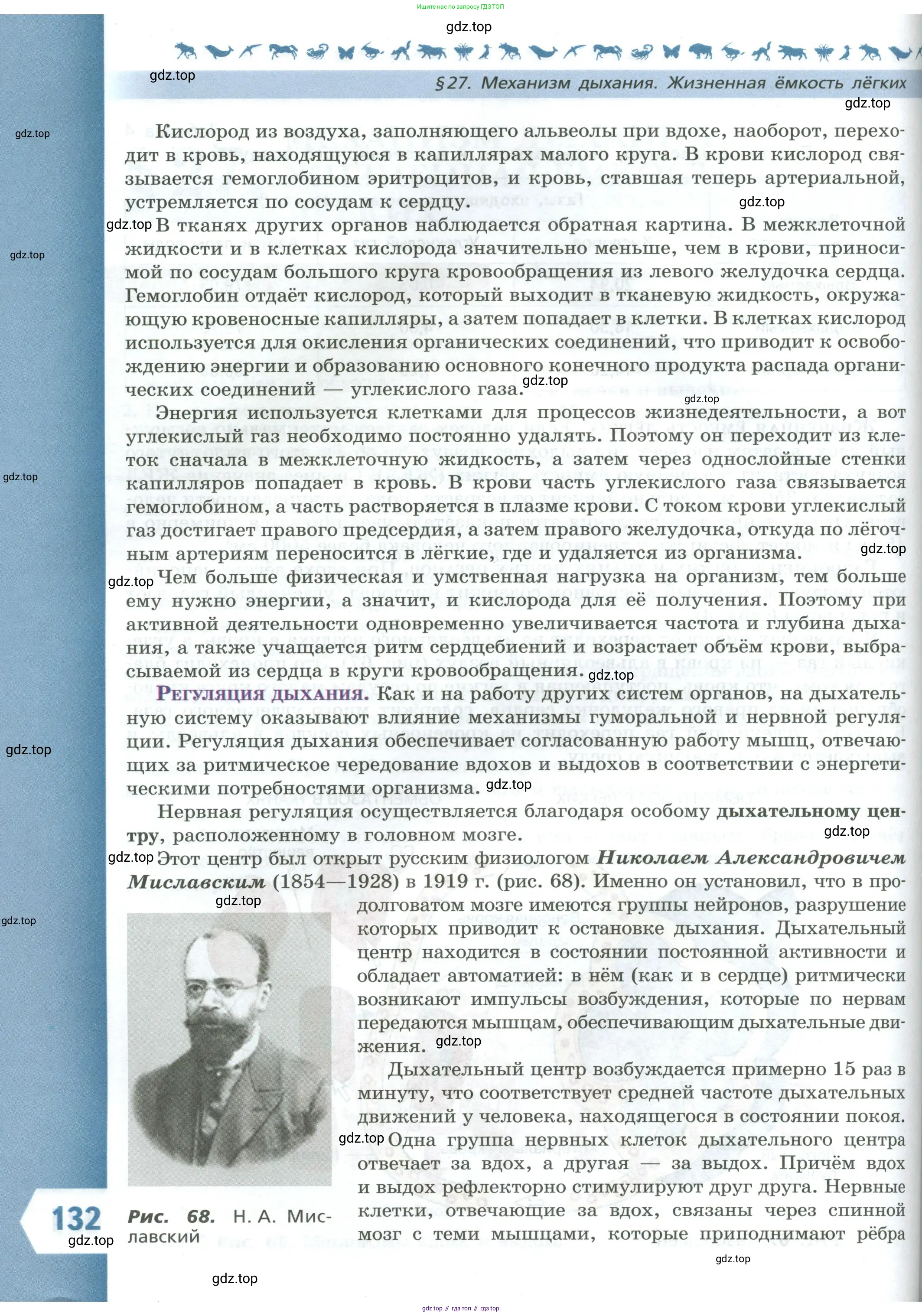 Биология, 9 класс Учебник, авторы: Пасечник Владимир Васильевич, Каменский Андрей Александрович, Швецов Глеб Геннадьевич, Гапонюк Зоя Георгиевна, издательство Просвещение, Москва, 2023, белого цвета, страница 132