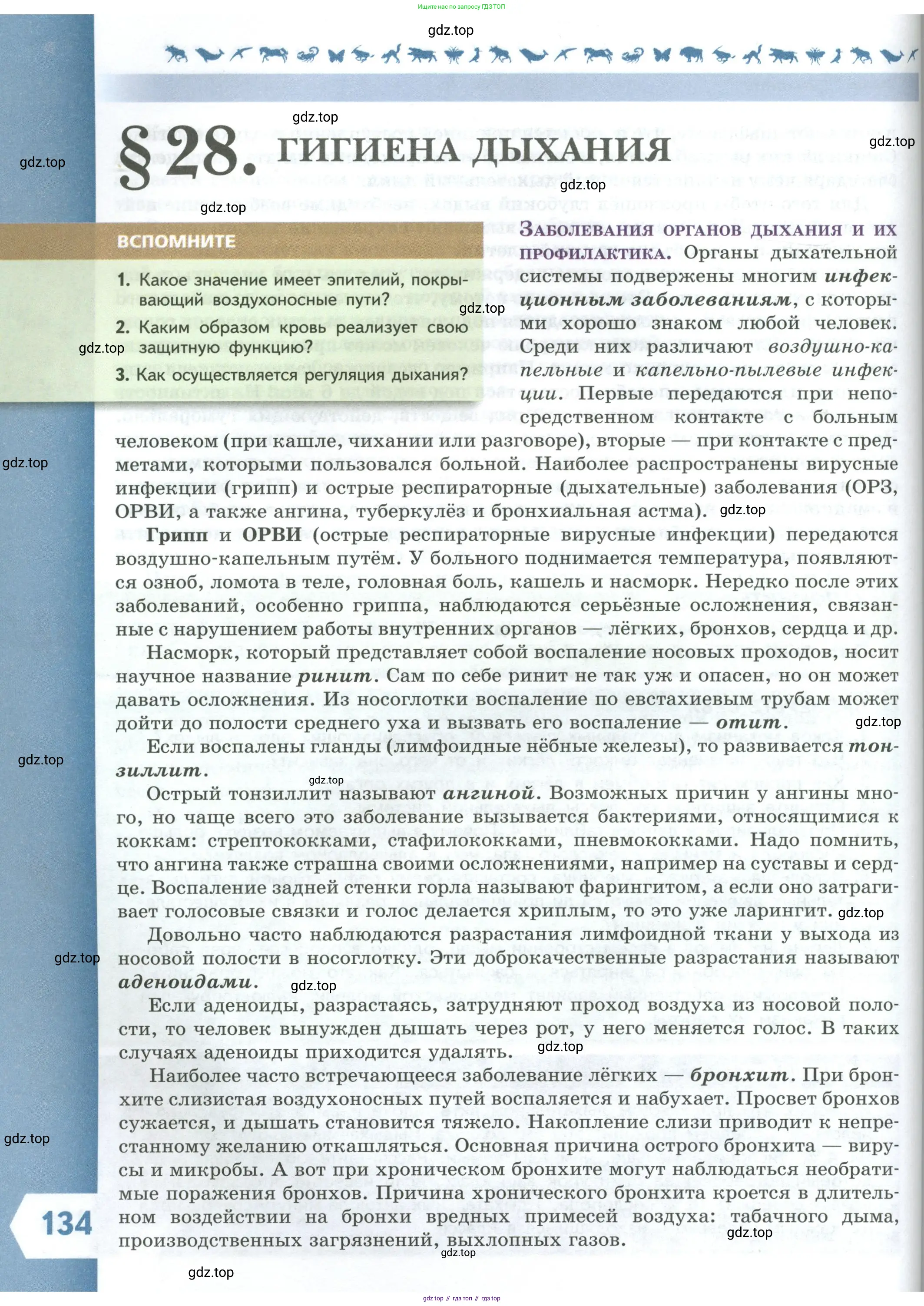Биология, 9 класс Учебник, авторы: Пасечник Владимир Васильевич, Каменский Андрей Александрович, Швецов Глеб Геннадьевич, Гапонюк Зоя Георгиевна, издательство Просвещение, Москва, 2023, белого цвета, страница 134