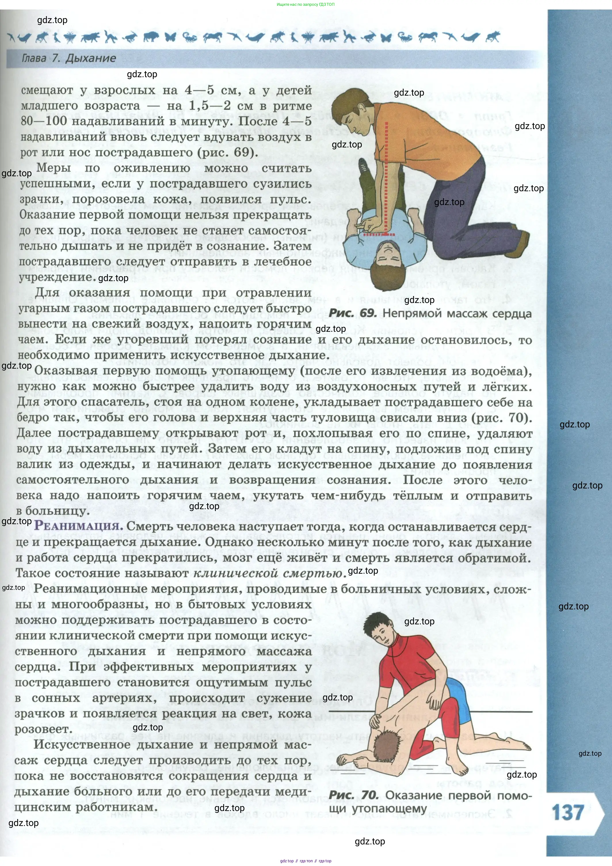 Биология, 9 класс Учебник, авторы: Пасечник Владимир Васильевич, Каменский Андрей Александрович, Швецов Глеб Геннадьевич, Гапонюк Зоя Георгиевна, издательство Просвещение, Москва, 2023, белого цвета, страница 137