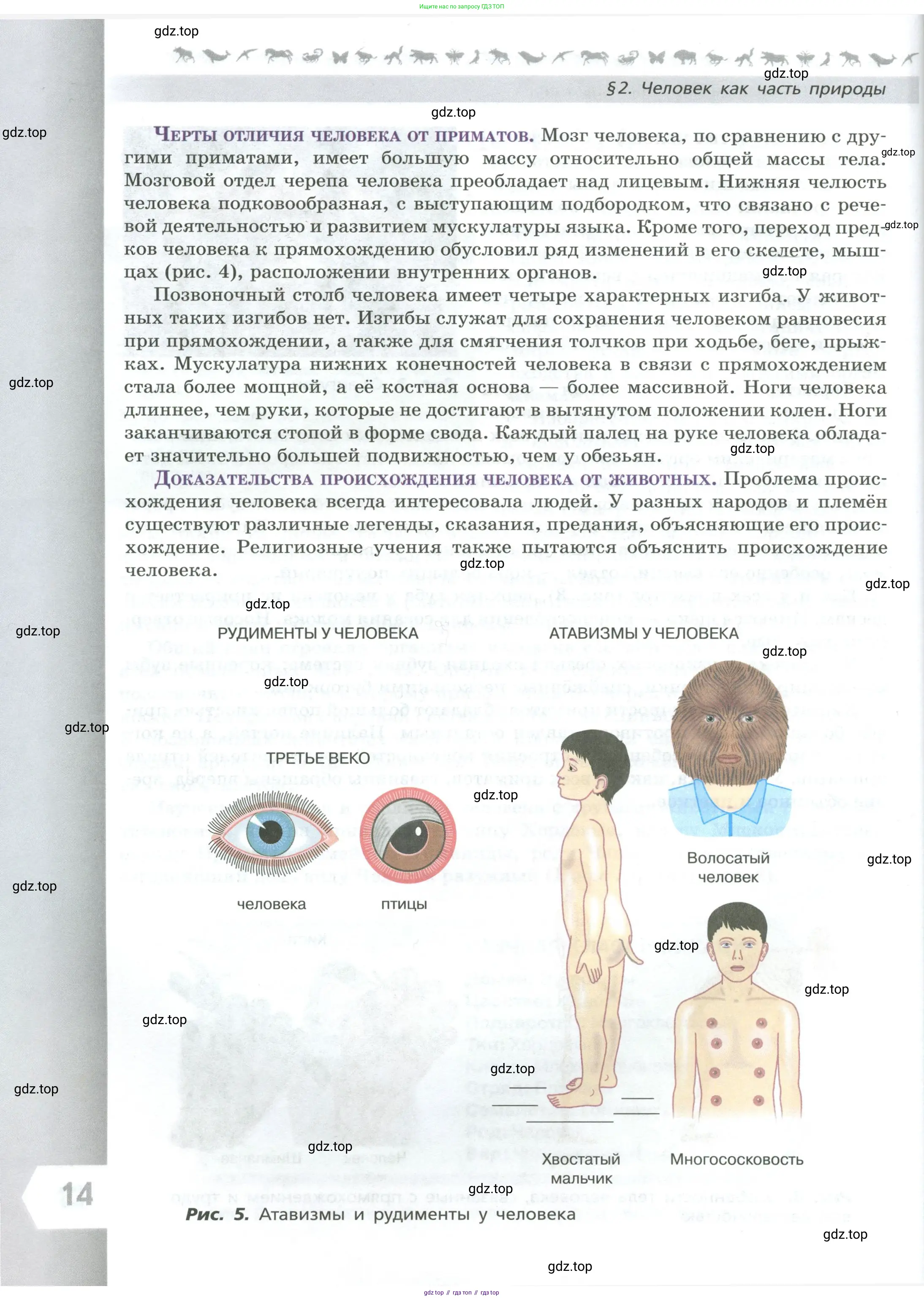 Биология, 9 класс Учебник, авторы: Пасечник Владимир Васильевич, Каменский Андрей Александрович, Швецов Глеб Геннадьевич, Гапонюк Зоя Георгиевна, издательство Просвещение, Москва, 2023, белого цвета, страница 14