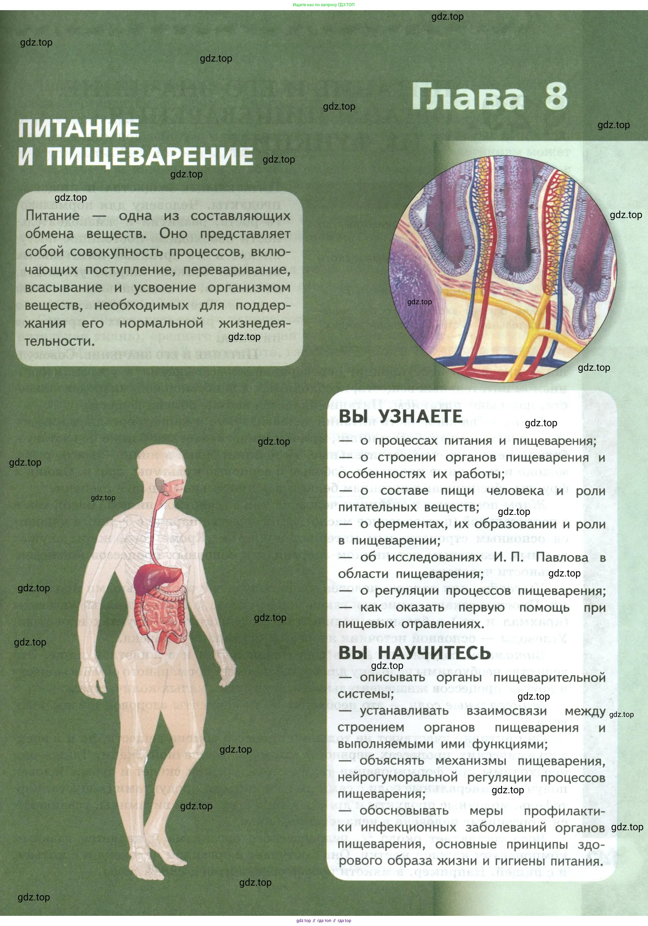 Биология, 9 класс Учебник, авторы: Пасечник Владимир Васильевич, Каменский Андрей Александрович, Швецов Глеб Геннадьевич, Гапонюк Зоя Георгиевна, издательство Просвещение, Москва, 2023, белого цвета, страница 141