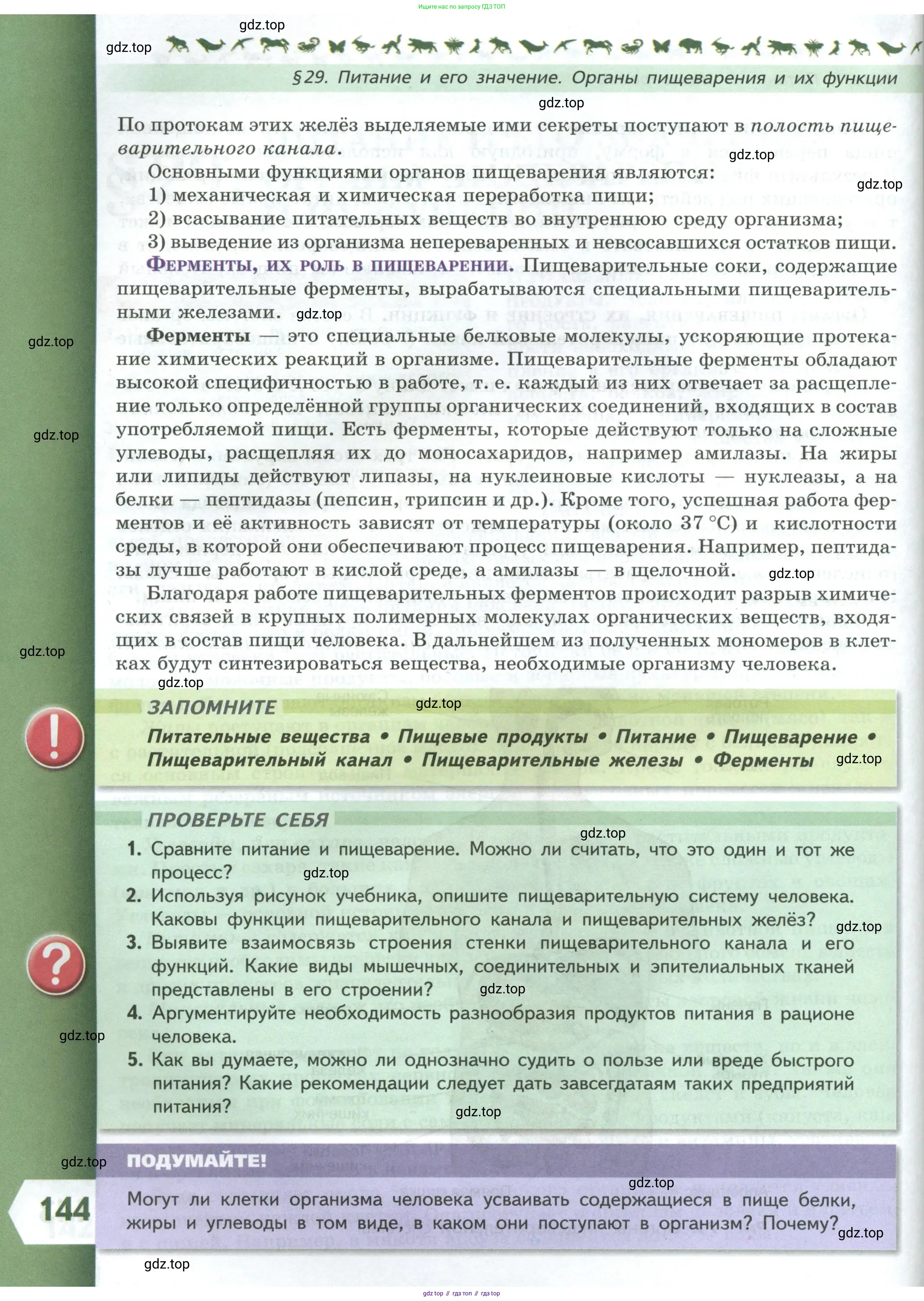 Биология, 9 класс Учебник, авторы: Пасечник Владимир Васильевич, Каменский Андрей Александрович, Швецов Глеб Геннадьевич, Гапонюк Зоя Георгиевна, издательство Просвещение, Москва, 2023, белого цвета, страница 144