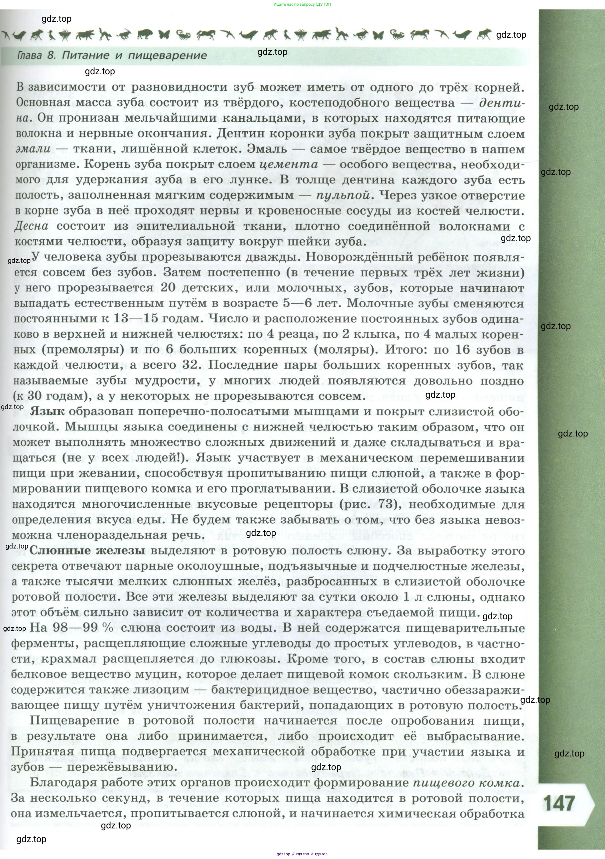 Биология, 9 класс Учебник, авторы: Пасечник Владимир Васильевич, Каменский Андрей Александрович, Швецов Глеб Геннадьевич, Гапонюк Зоя Георгиевна, издательство Просвещение, Москва, 2023, белого цвета, страница 147