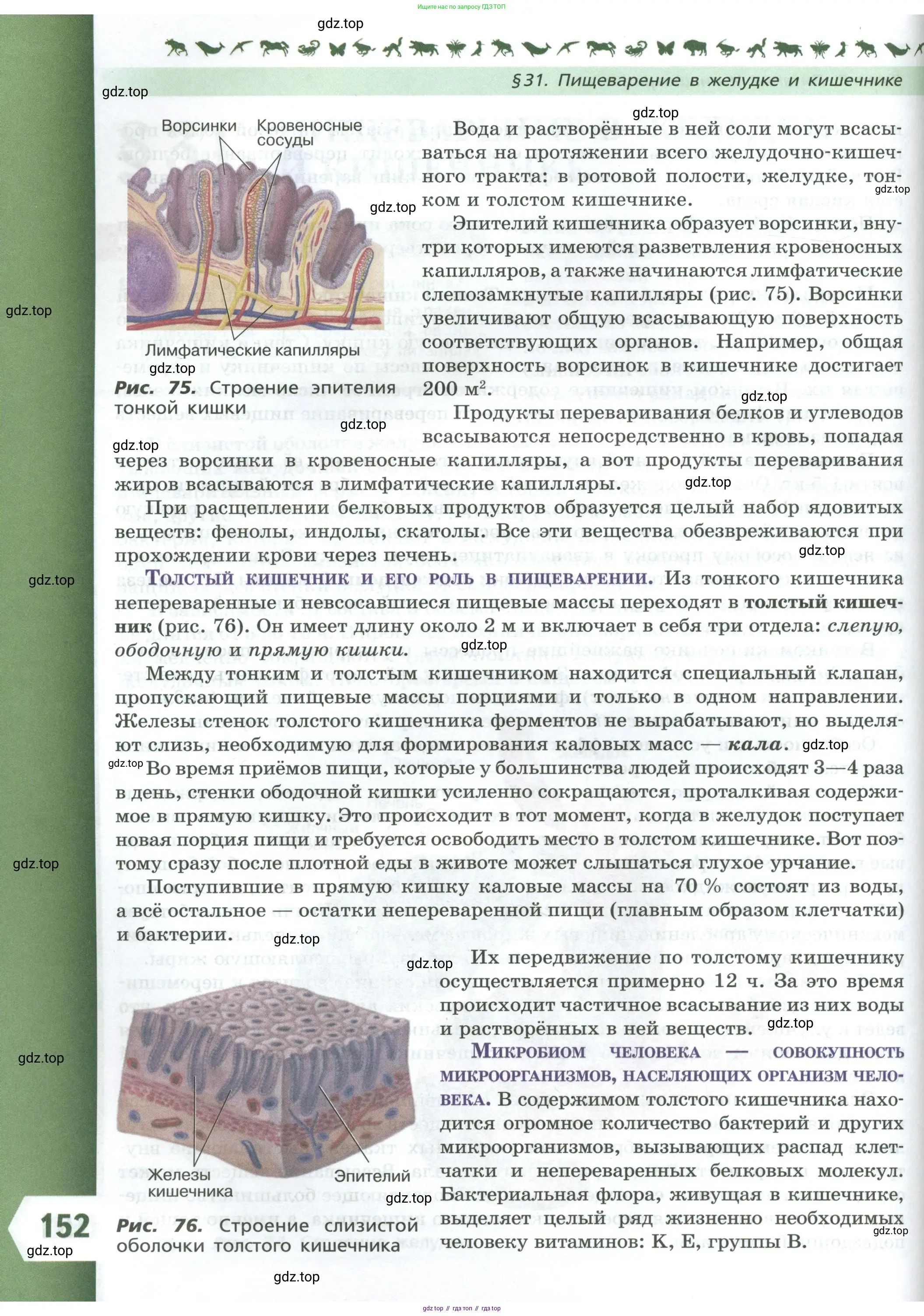 Биология, 9 класс Учебник, авторы: Пасечник Владимир Васильевич, Каменский Андрей Александрович, Швецов Глеб Геннадьевич, Гапонюк Зоя Георгиевна, издательство Просвещение, Москва, 2023, белого цвета, страница 152