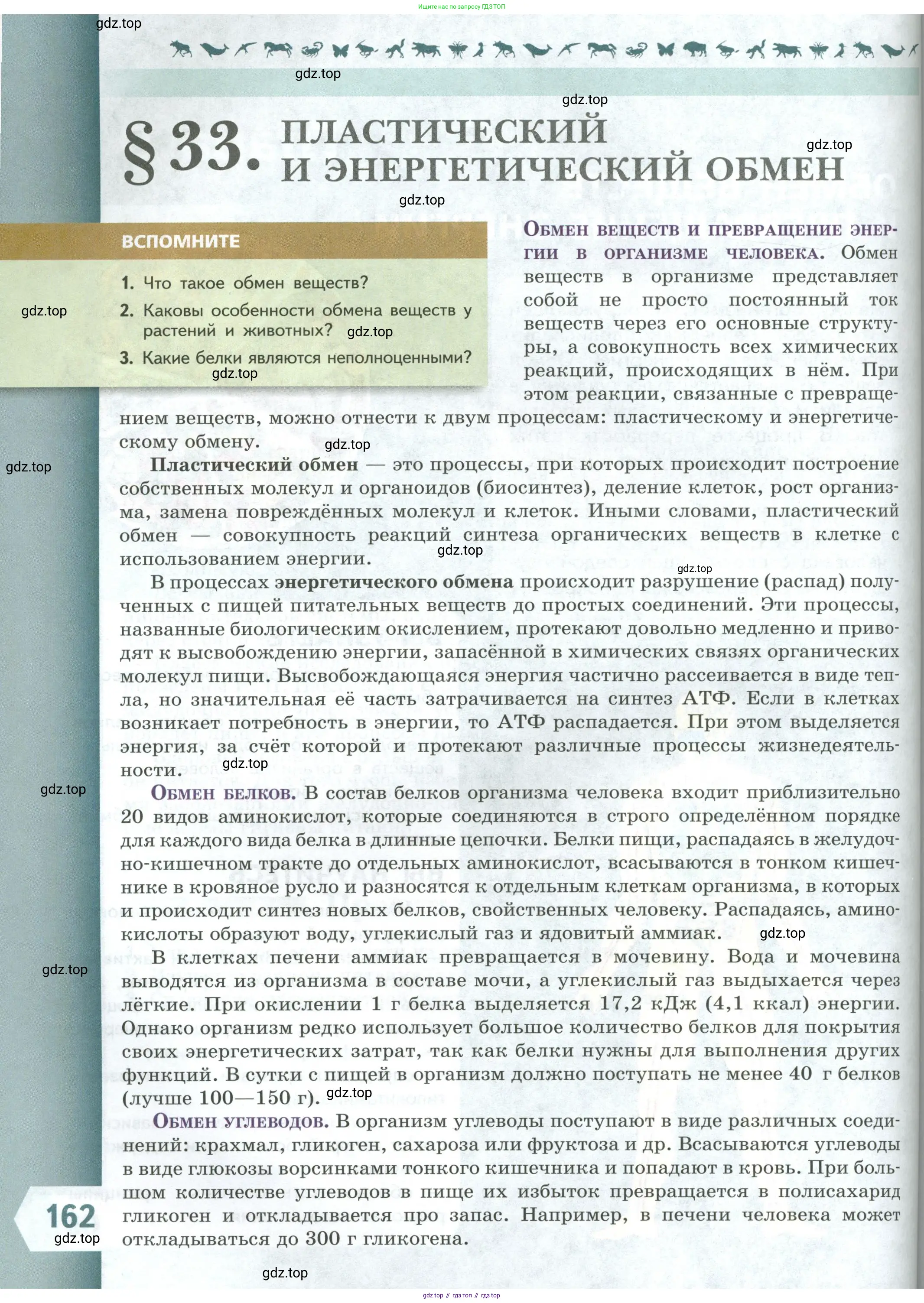 Биология, 9 класс Учебник, авторы: Пасечник Владимир Васильевич, Каменский Андрей Александрович, Швецов Глеб Геннадьевич, Гапонюк Зоя Георгиевна, издательство Просвещение, Москва, 2023, белого цвета, страница 162