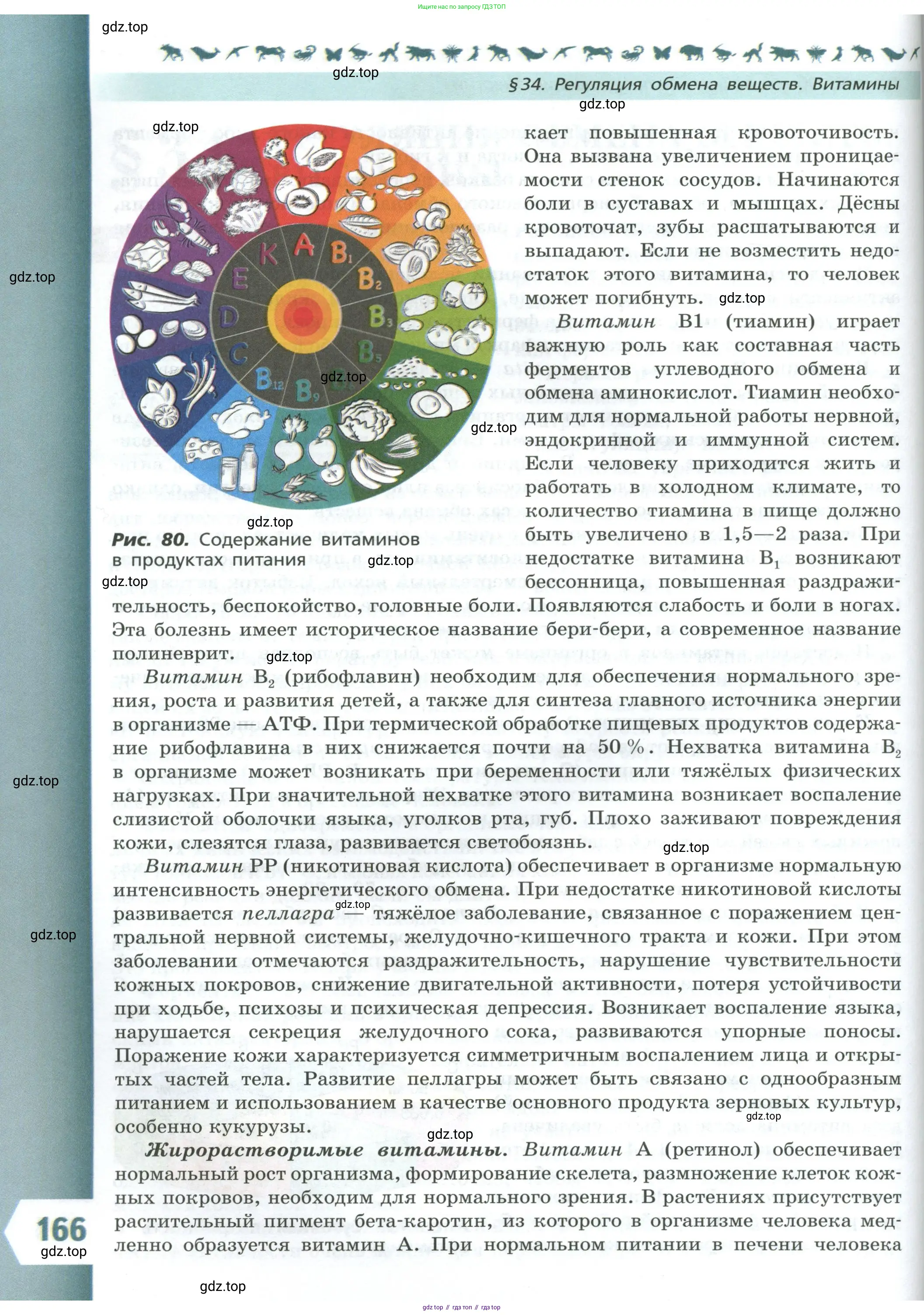 Биология, 9 класс Учебник, авторы: Пасечник Владимир Васильевич, Каменский Андрей Александрович, Швецов Глеб Геннадьевич, Гапонюк Зоя Георгиевна, издательство Просвещение, Москва, 2023, белого цвета, страница 166