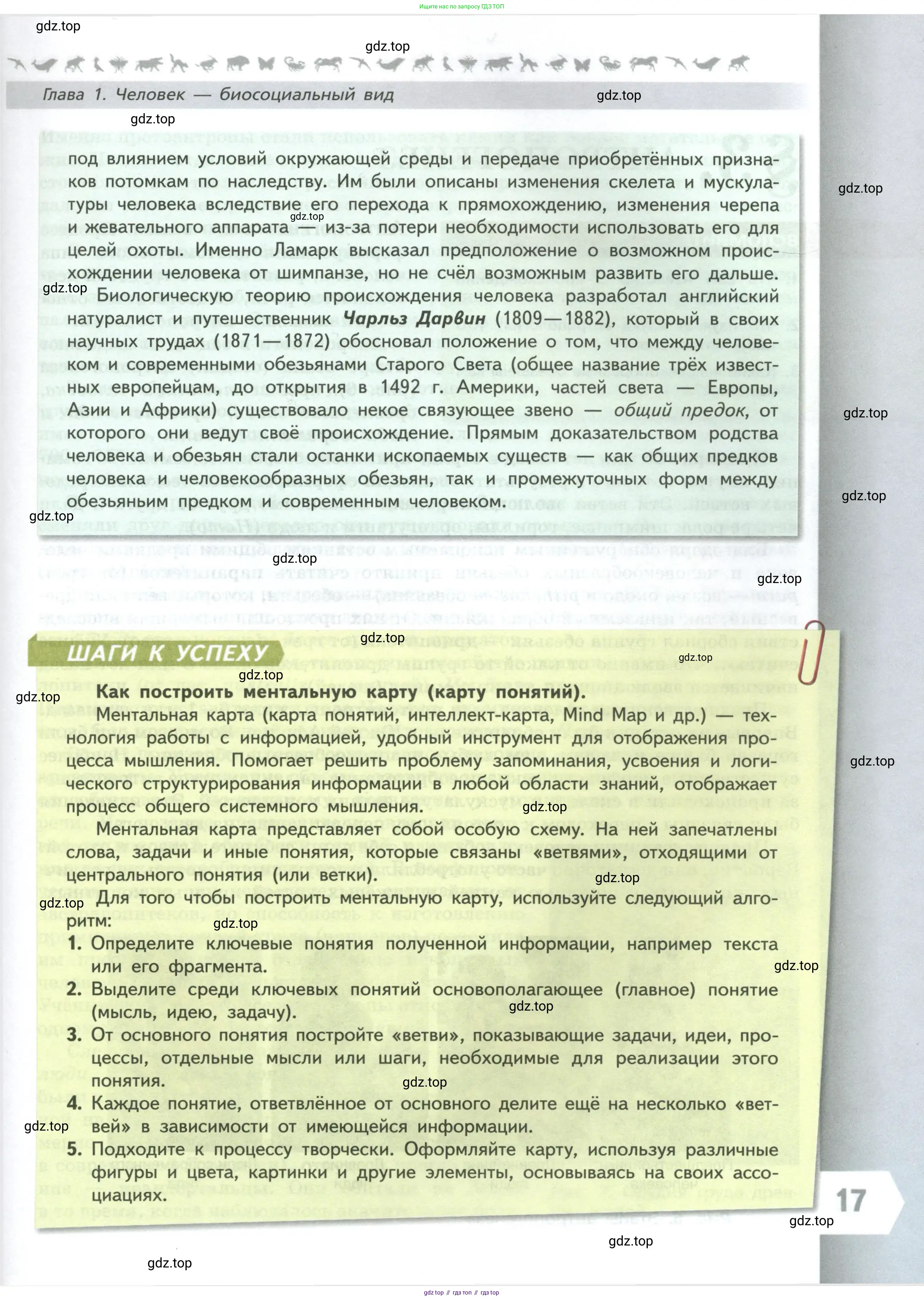 Биология, 9 класс Учебник, авторы: Пасечник Владимир Васильевич, Каменский Андрей Александрович, Швецов Глеб Геннадьевич, Гапонюк Зоя Георгиевна, издательство Просвещение, Москва, 2023, белого цвета, страница 17