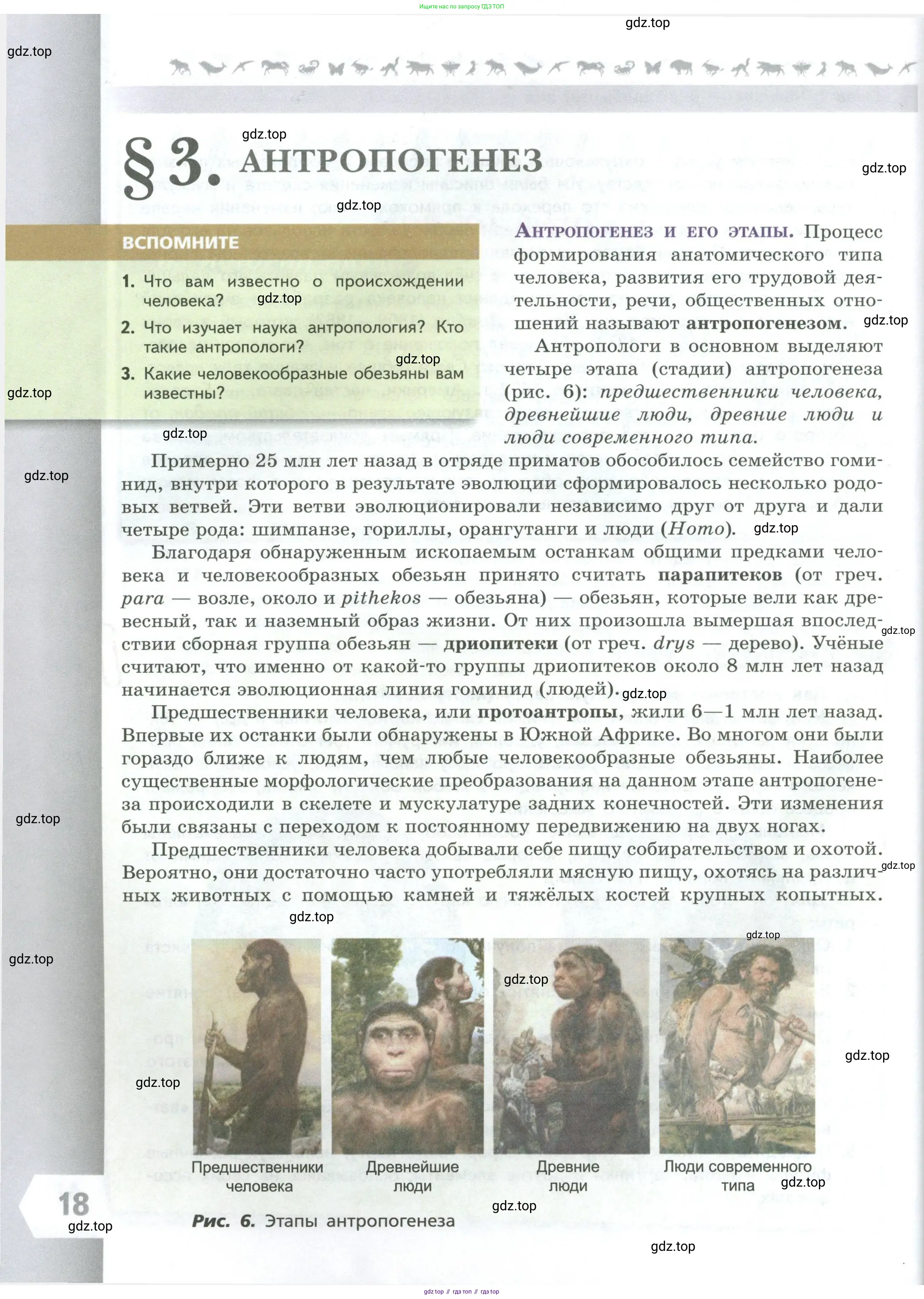 Биология, 9 класс Учебник, авторы: Пасечник Владимир Васильевич, Каменский Андрей Александрович, Швецов Глеб Геннадьевич, Гапонюк Зоя Георгиевна, издательство Просвещение, Москва, 2023, белого цвета, страница 18