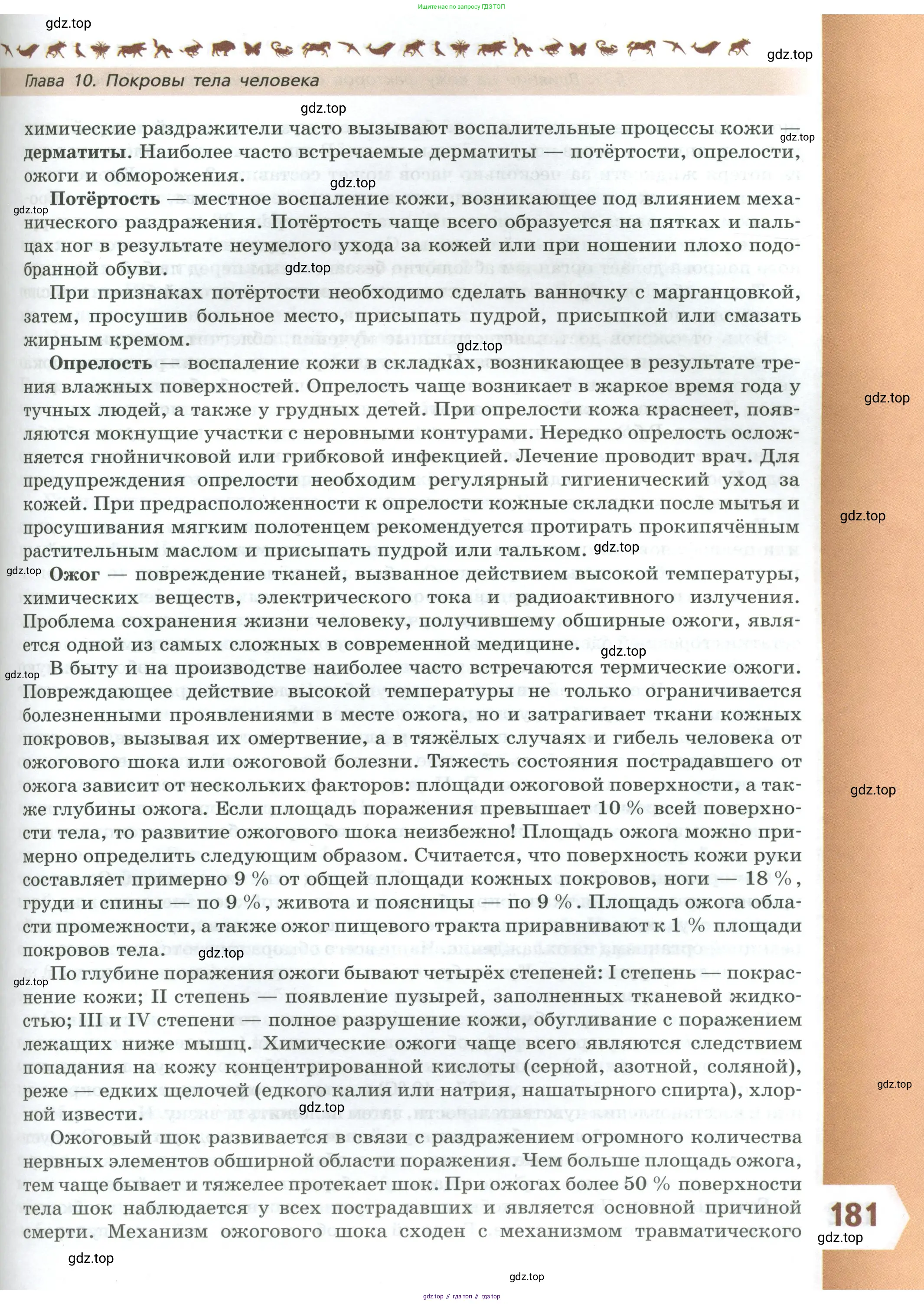 Биология, 9 класс Учебник, авторы: Пасечник Владимир Васильевич, Каменский Андрей Александрович, Швецов Глеб Геннадьевич, Гапонюк Зоя Георгиевна, издательство Просвещение, Москва, 2023, белого цвета, страница 181
