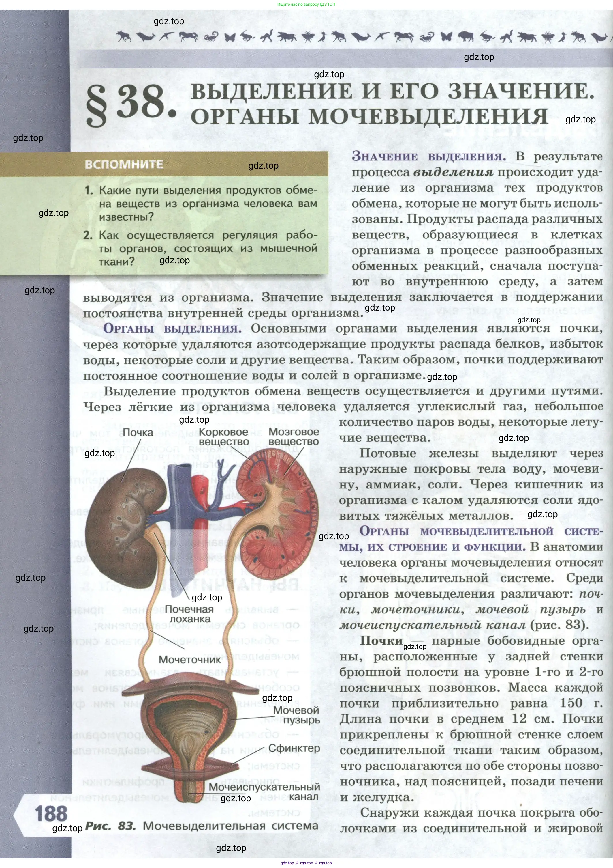 Биология, 9 класс Учебник, авторы: Пасечник Владимир Васильевич, Каменский Андрей Александрович, Швецов Глеб Геннадьевич, Гапонюк Зоя Георгиевна, издательство Просвещение, Москва, 2023, белого цвета, страница 188